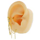 Pendiente earcuff Lianas plata fina S925 chapados En Oro 18k fake piercing - Miniatura 8