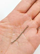 Cadena Piercing Puente Nasal 35mm Conectora Joya F136 Titanio - Miniatura 3