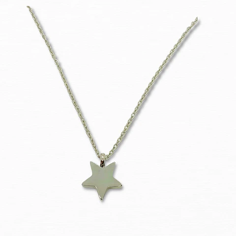 Cadena Colgante Urna Cremacion Estrella Plateada o negra  hipoalergénico con set para verter las cenizas