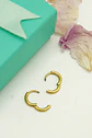 Argollas lisas Aura Titanio 8mm Astm F136 Chapadas En Oro 18k  - Miniatura 7