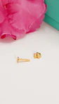 Piercing labret huella perro gato titanio chapado en oro 18k 8mm - Miniatura 4