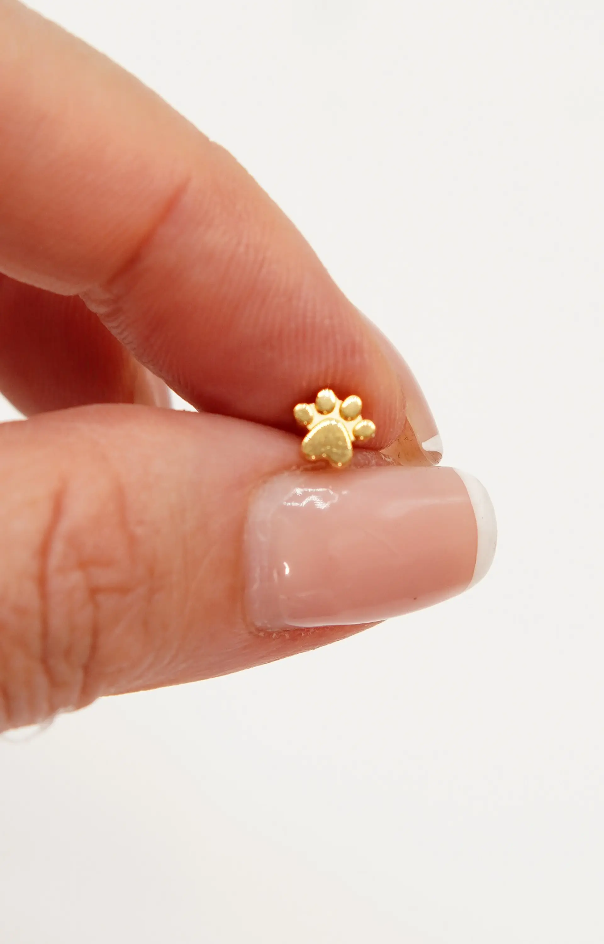 Piercing labret huella perro gato titanio chapado en oro 18k 8mm 5