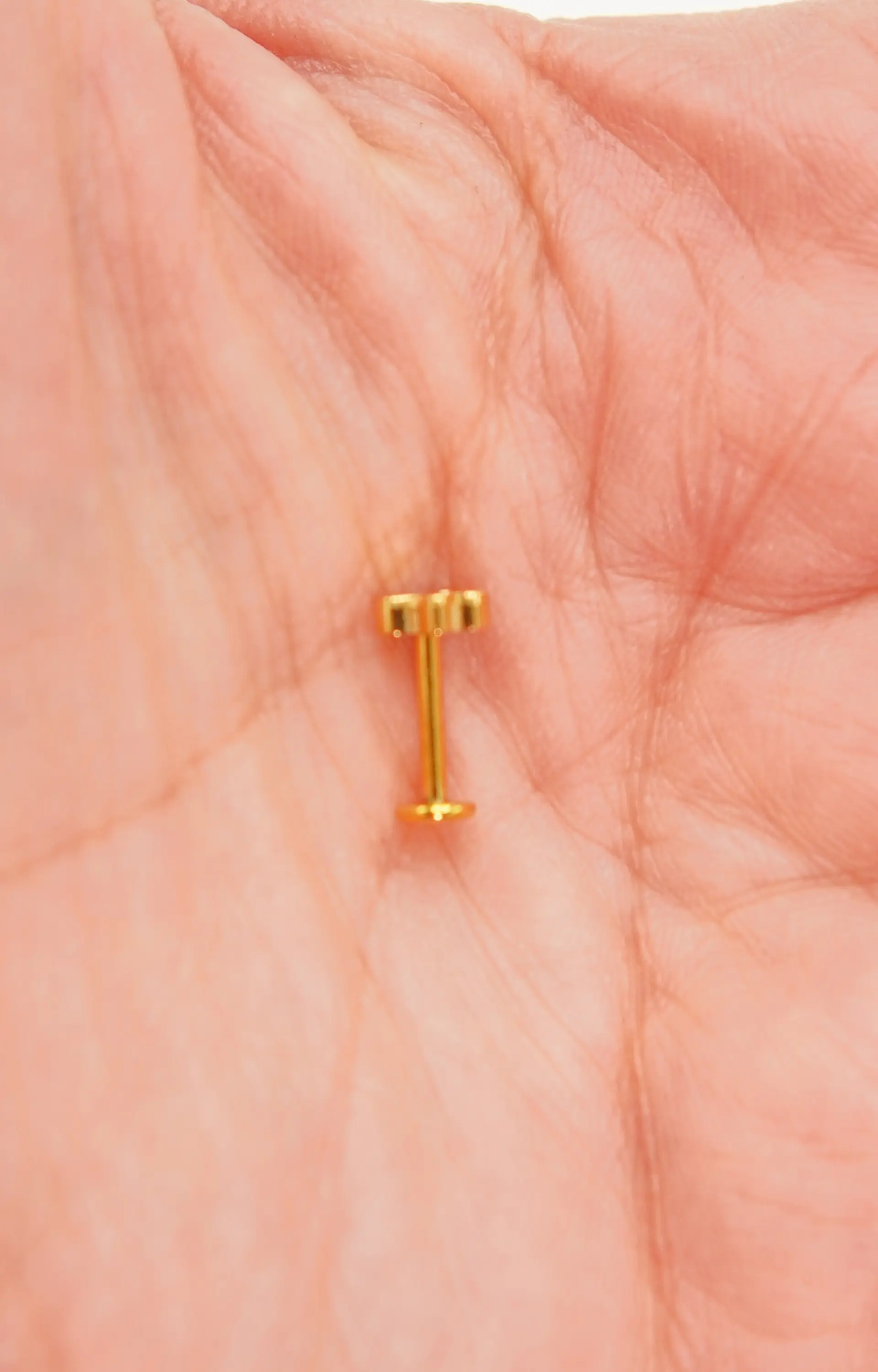 Piercing labret huella perro gato titanio chapado en oro 18k 8mm 9