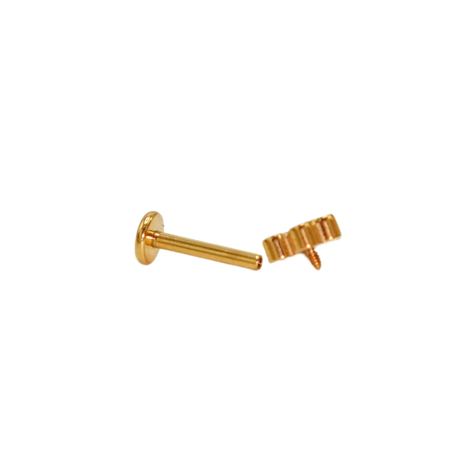 Piercing labret huella perro gato titanio chapado en oro 18k 8mm 7