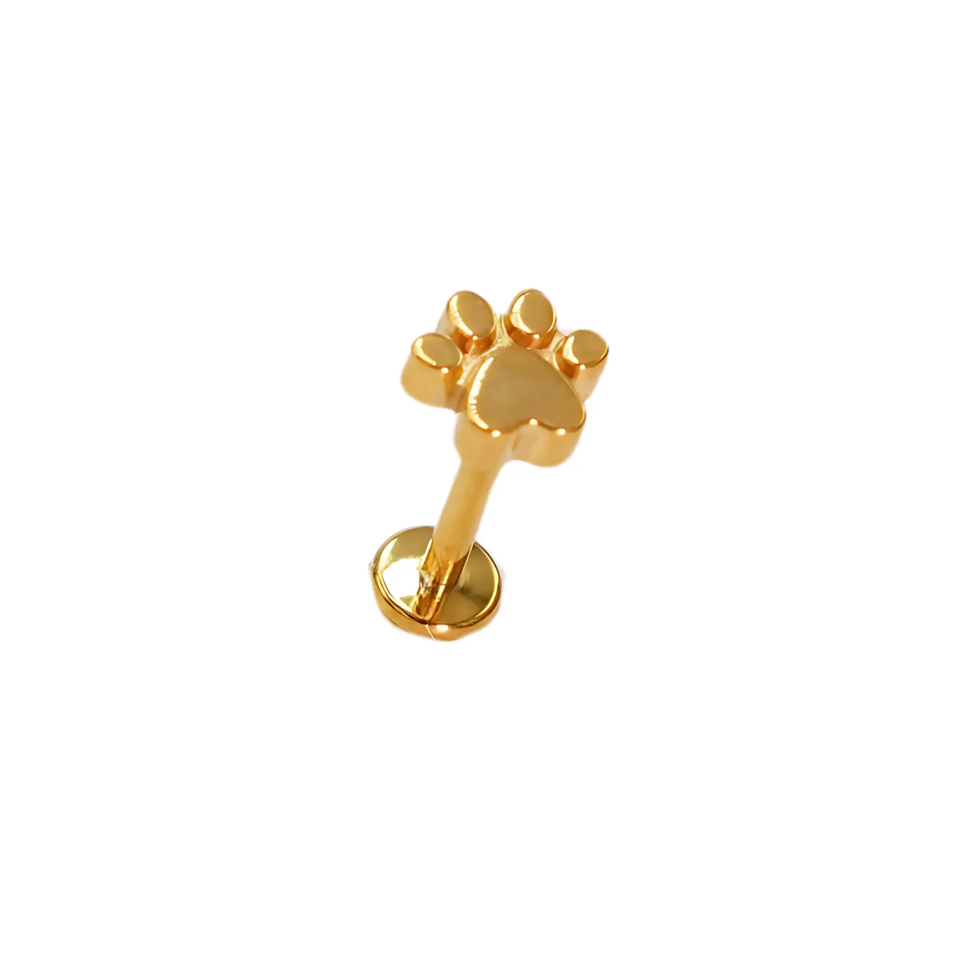 Piercing labret huella perro gato titanio chapado en oro 18k 8mm 1