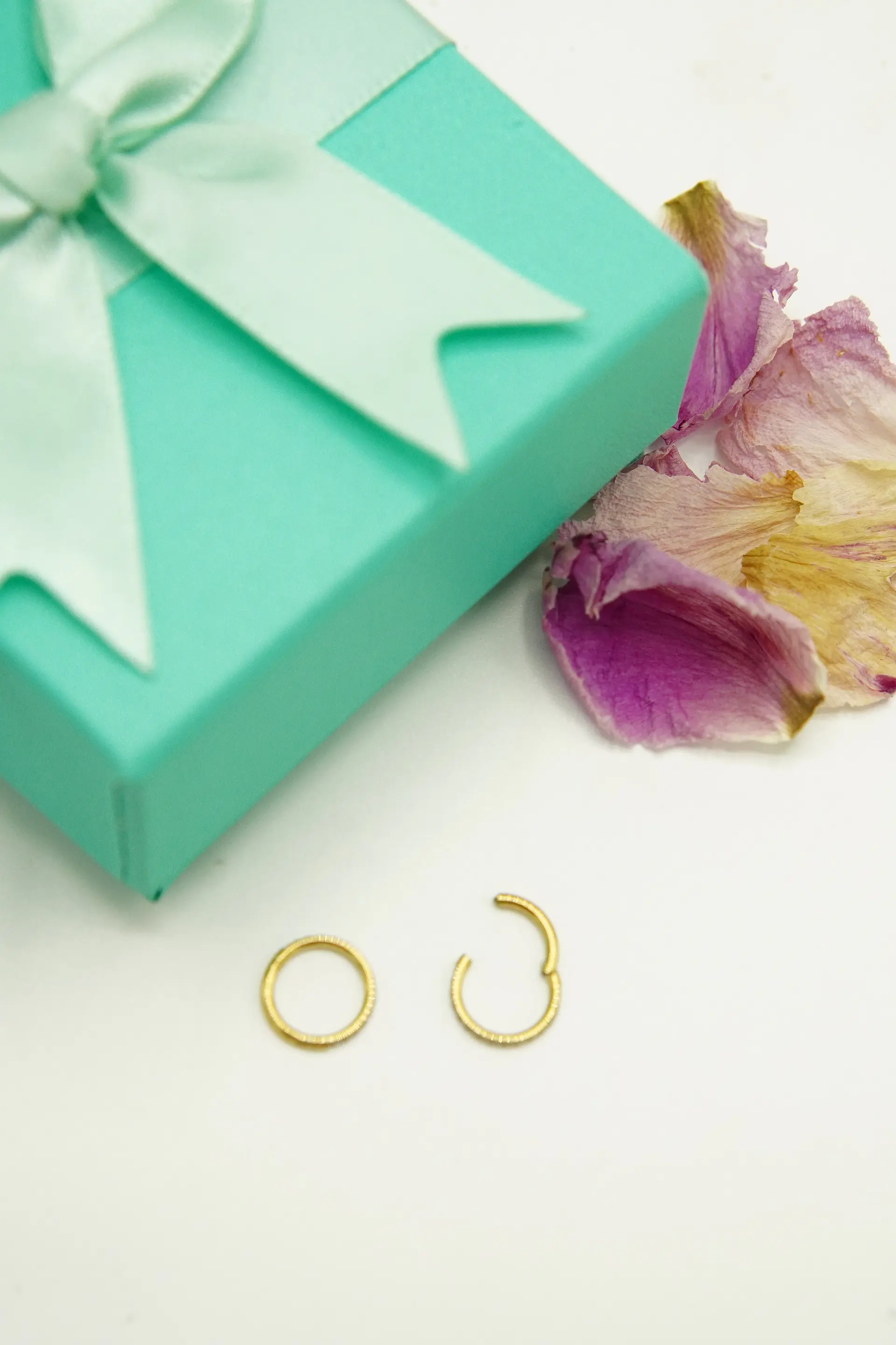 Argollas Emma 6mm 16G Titanio F136 PVD Oro 18k 3