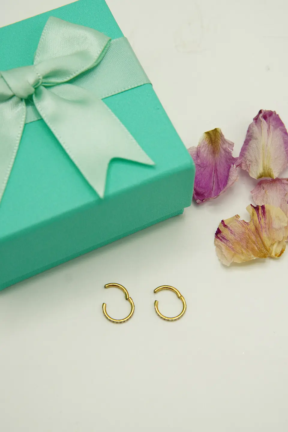 Argollas Emma 6mm 16G Titanio F136 PVD Oro 18k 11