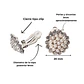 Aros sin perforacion perlas y zirconias sol y brillo plateados - Miniatura 4