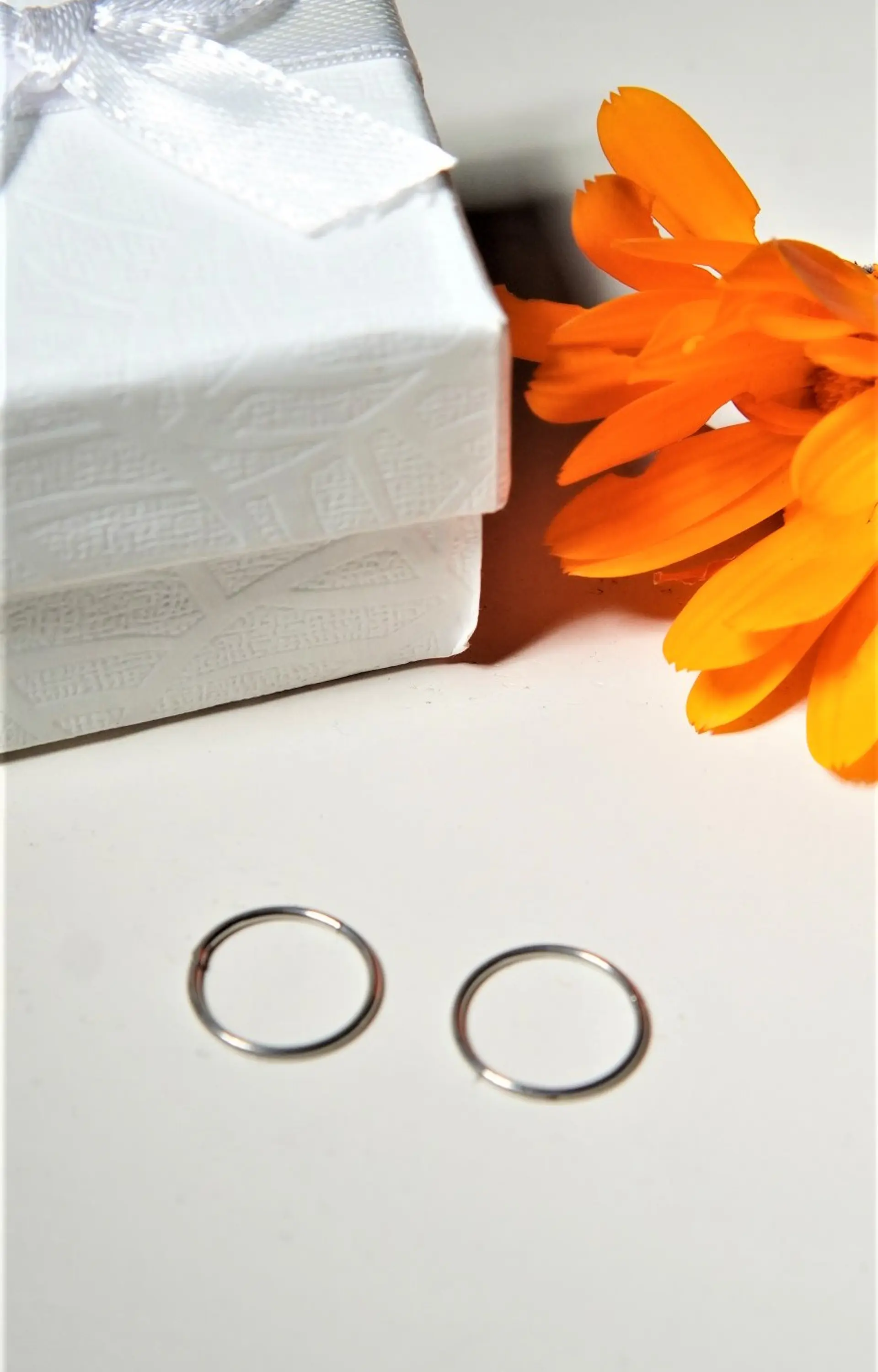 Argollas Clicker 10mm 20g Acero Quirurgico Plateadas Ligeras 2