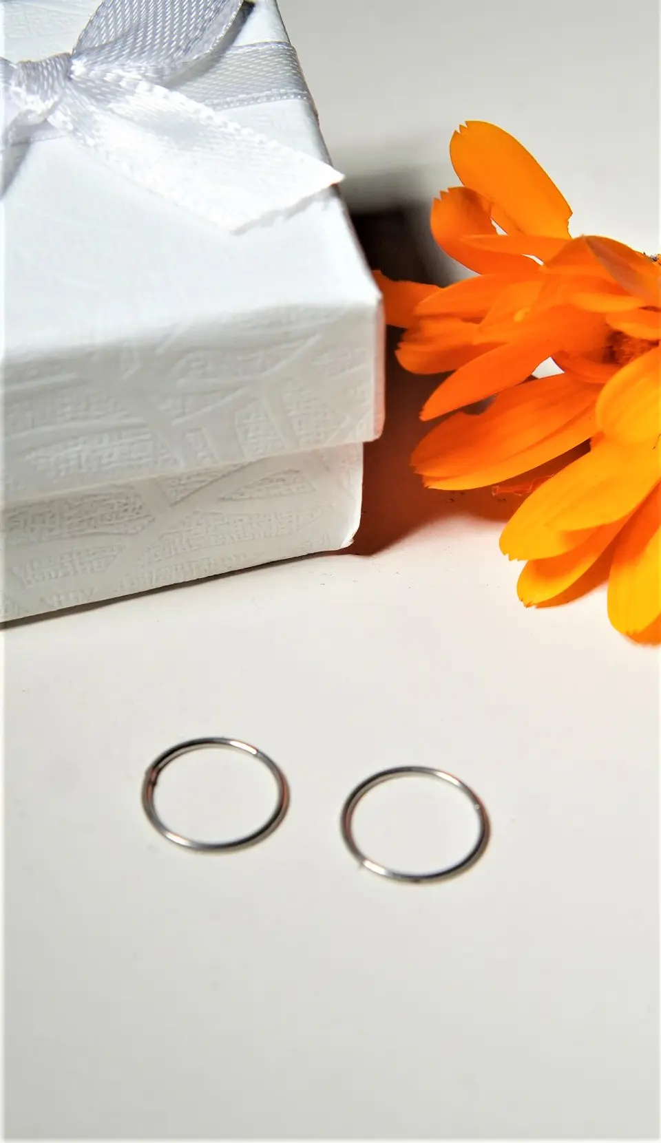 Argollas Clicker 10mm 20g Acero Quirurgico Plateadas Ligeras 2