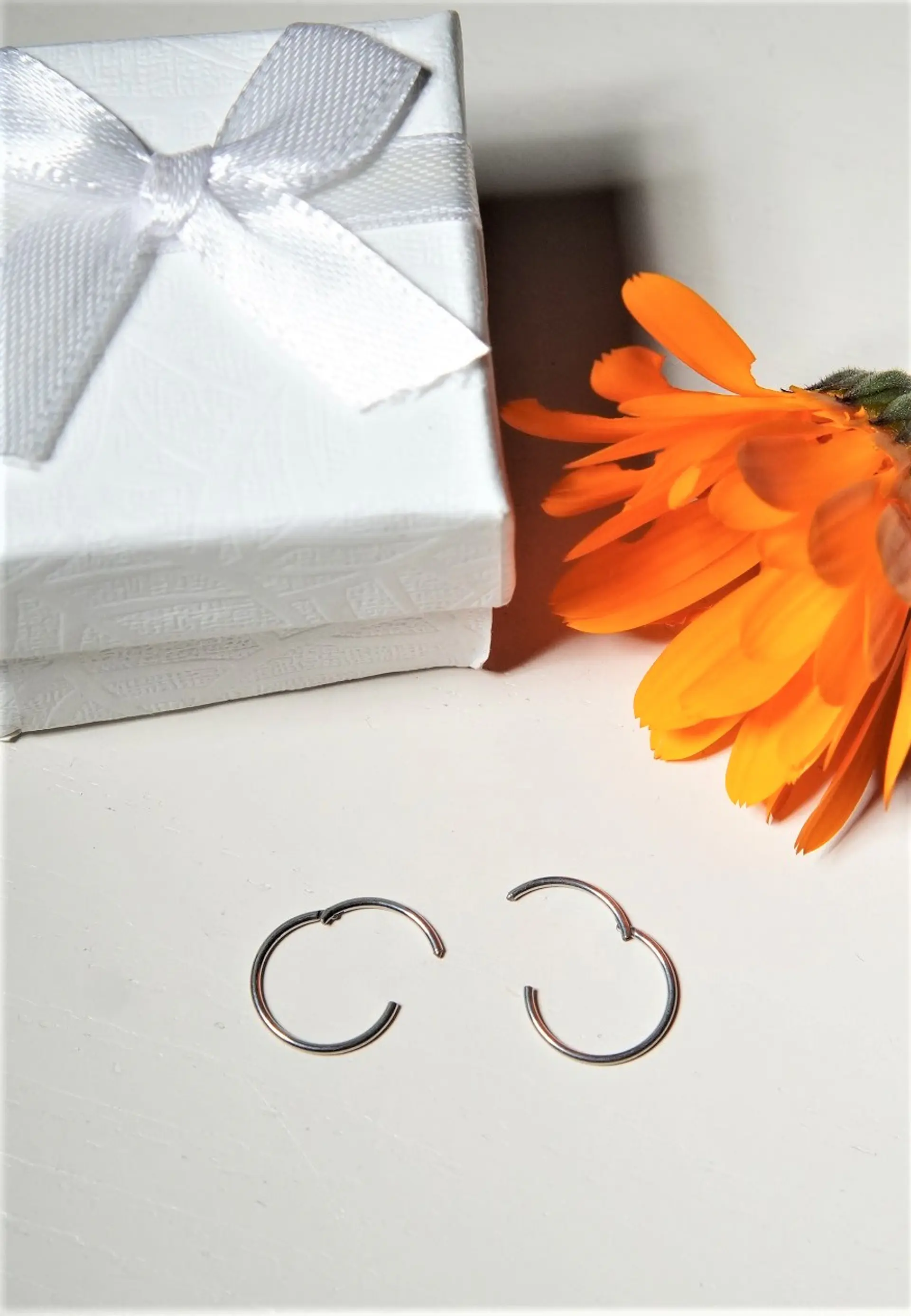 Argollas Clicker 10mm 20g Acero Quirurgico Plateadas Ligeras 8
