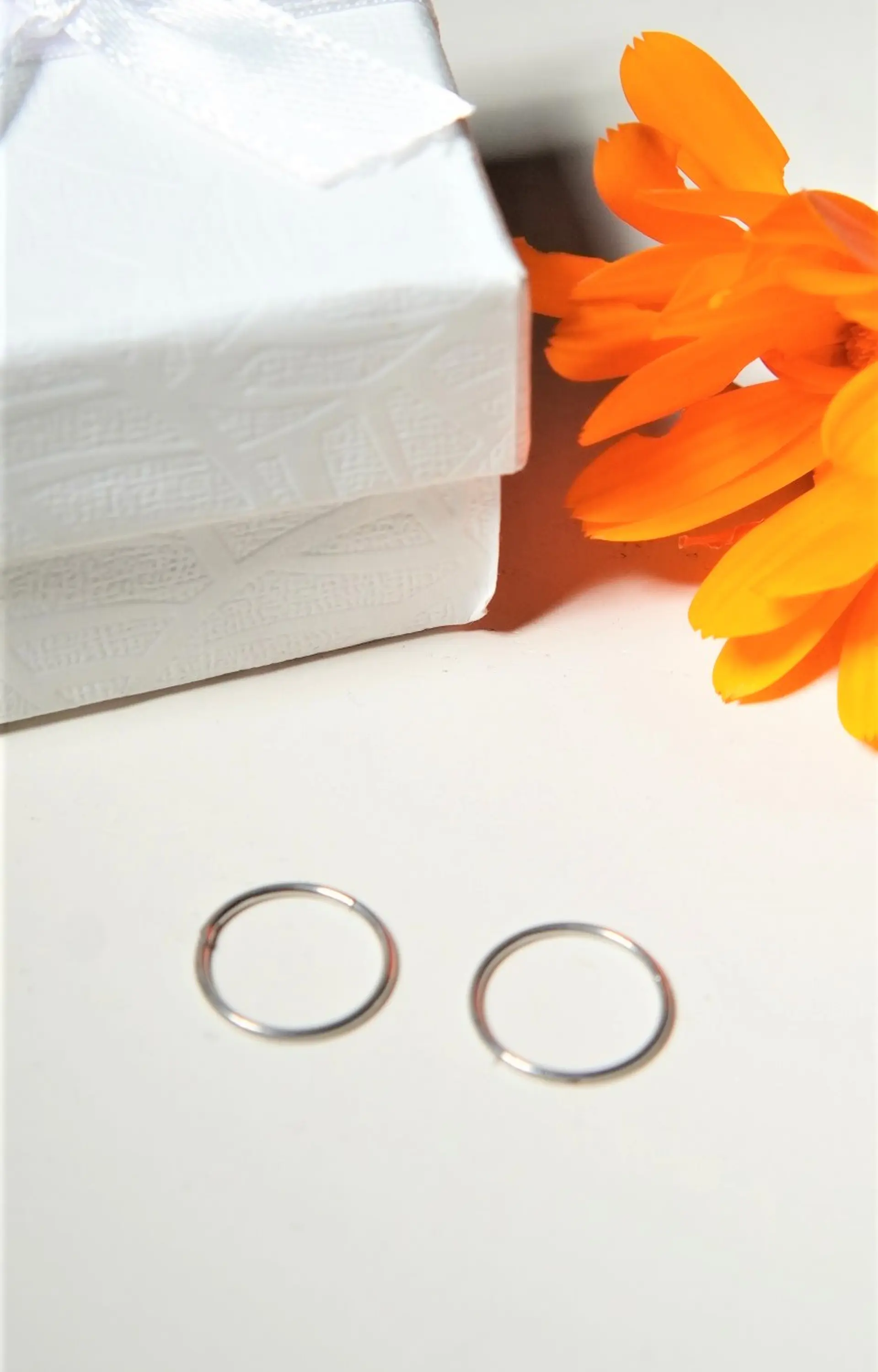 Argollas Clicker 8mm 20g Acero Quirurgico Plateadas Ligeras 11