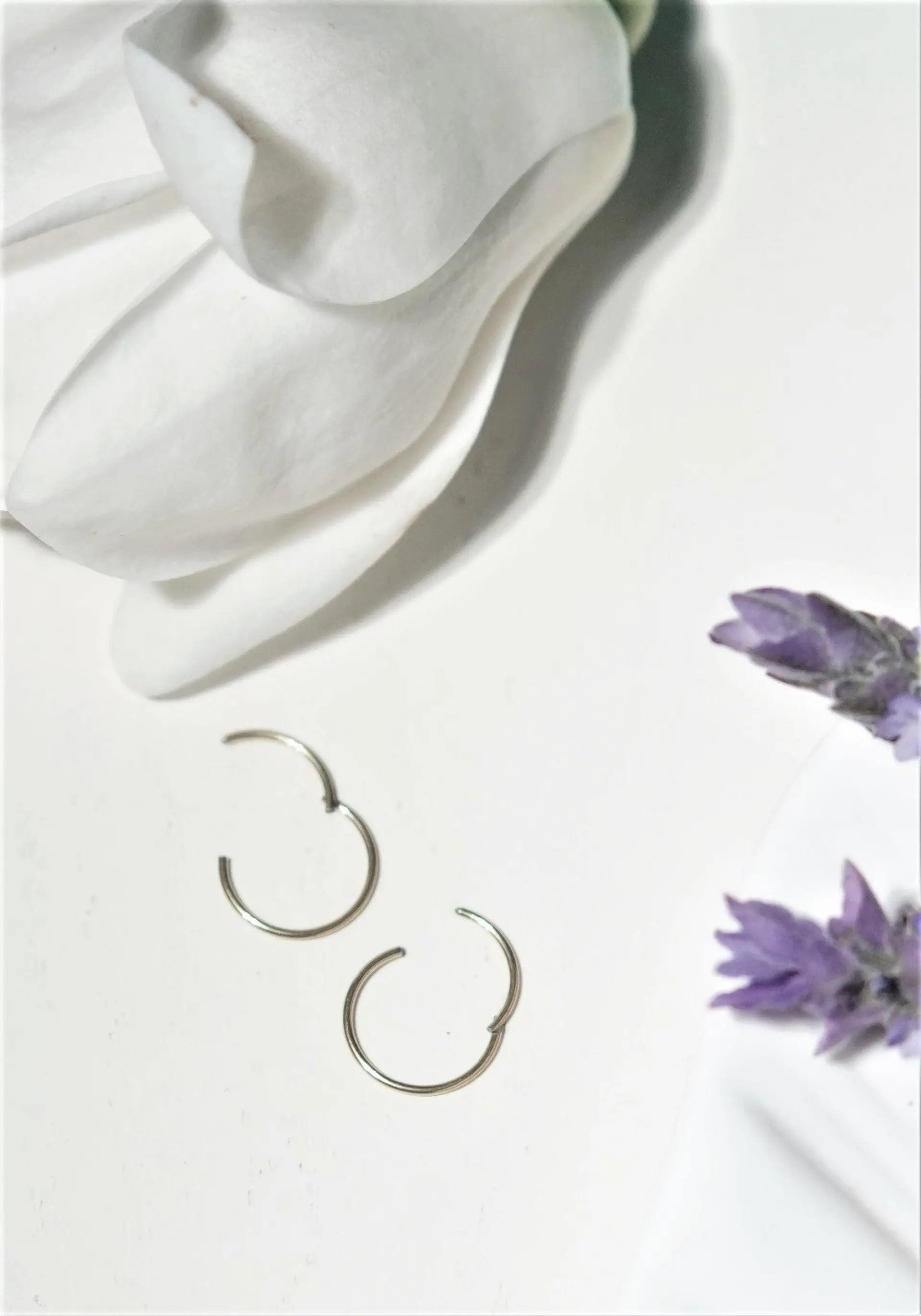 Argollas Clicker 8mm 20g Acero Quirurgico Plateadas Ligeras 3