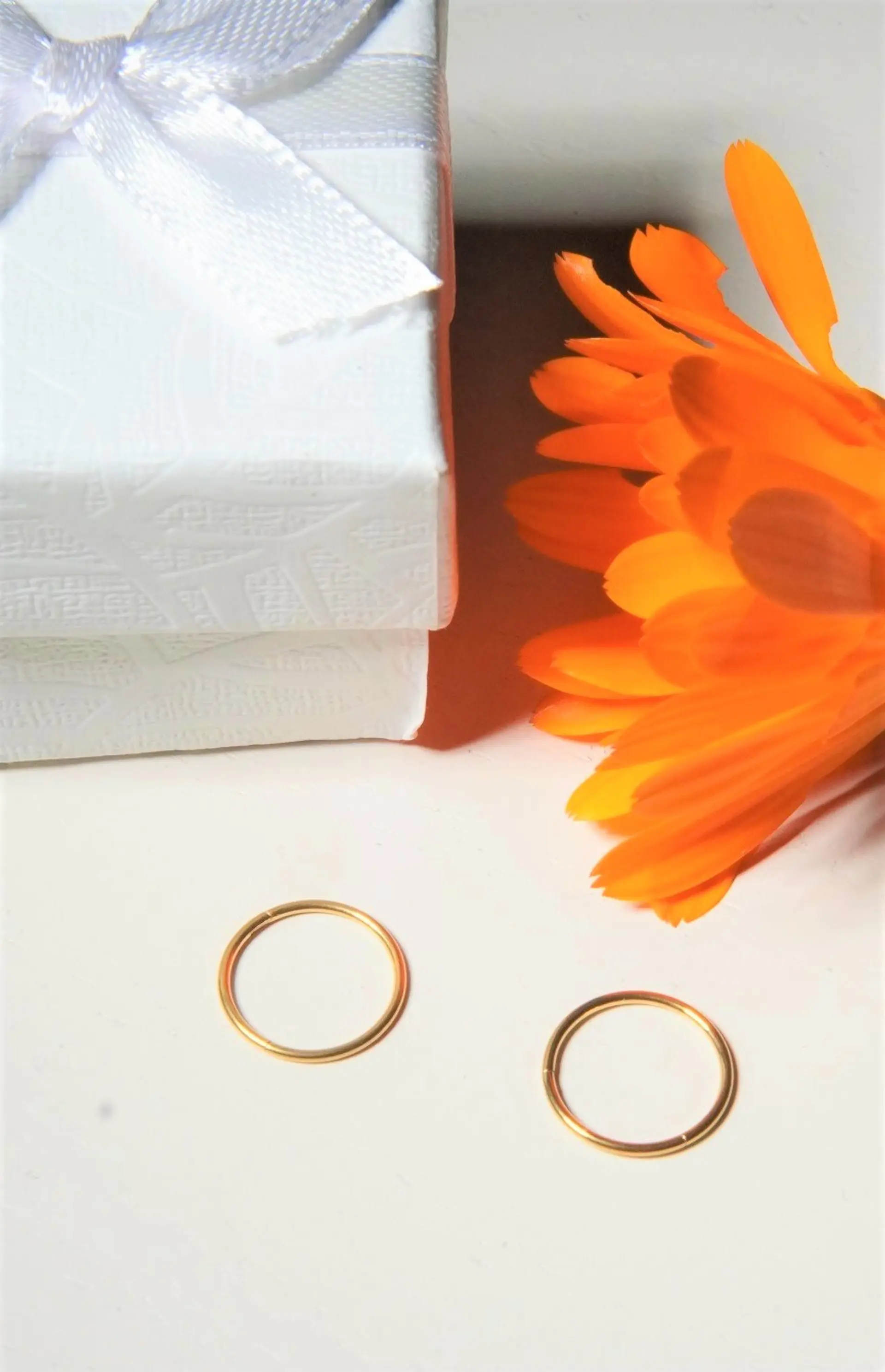 Argollas Clicker 10mm 20g Acero Quirurgico Chapadas En Oro 18k 7