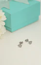 Aros huella de perro gato titanio grado implante - Miniatura 2