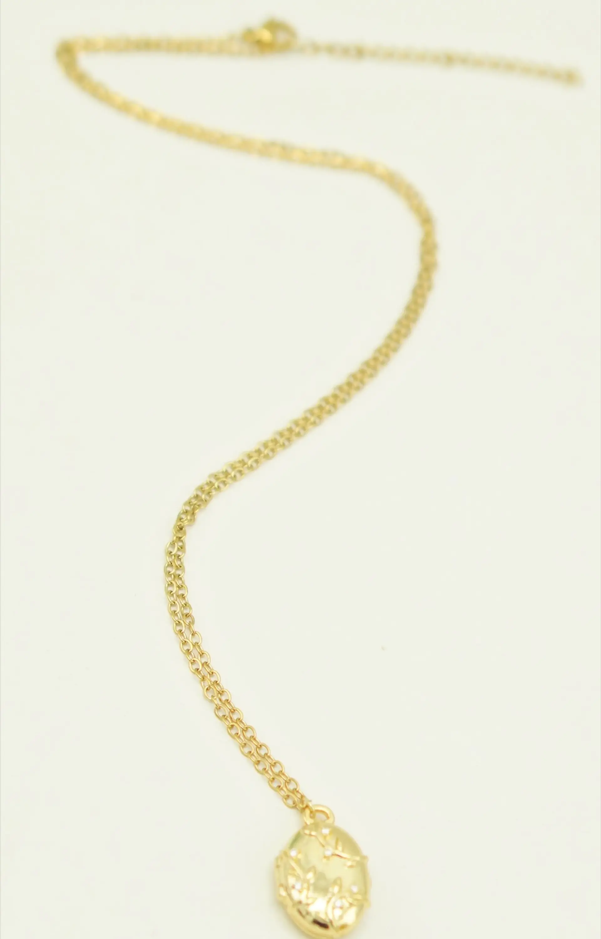 Relicario hiedras zirconias chapado en oro 18k 5