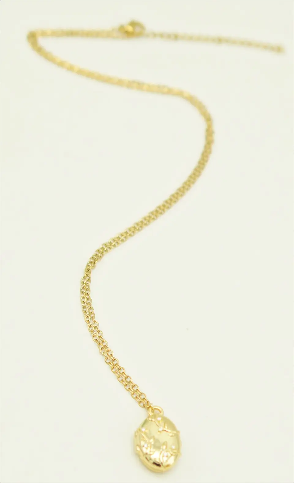 Relicario hiedras zirconias chapado en oro 18k 5