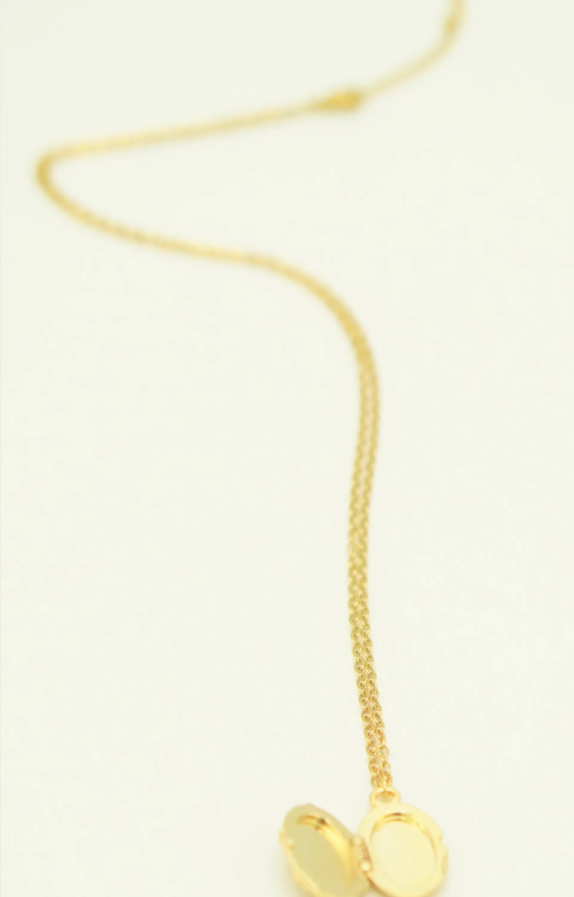 Relicario hiedras zirconias chapado en oro 18k 10