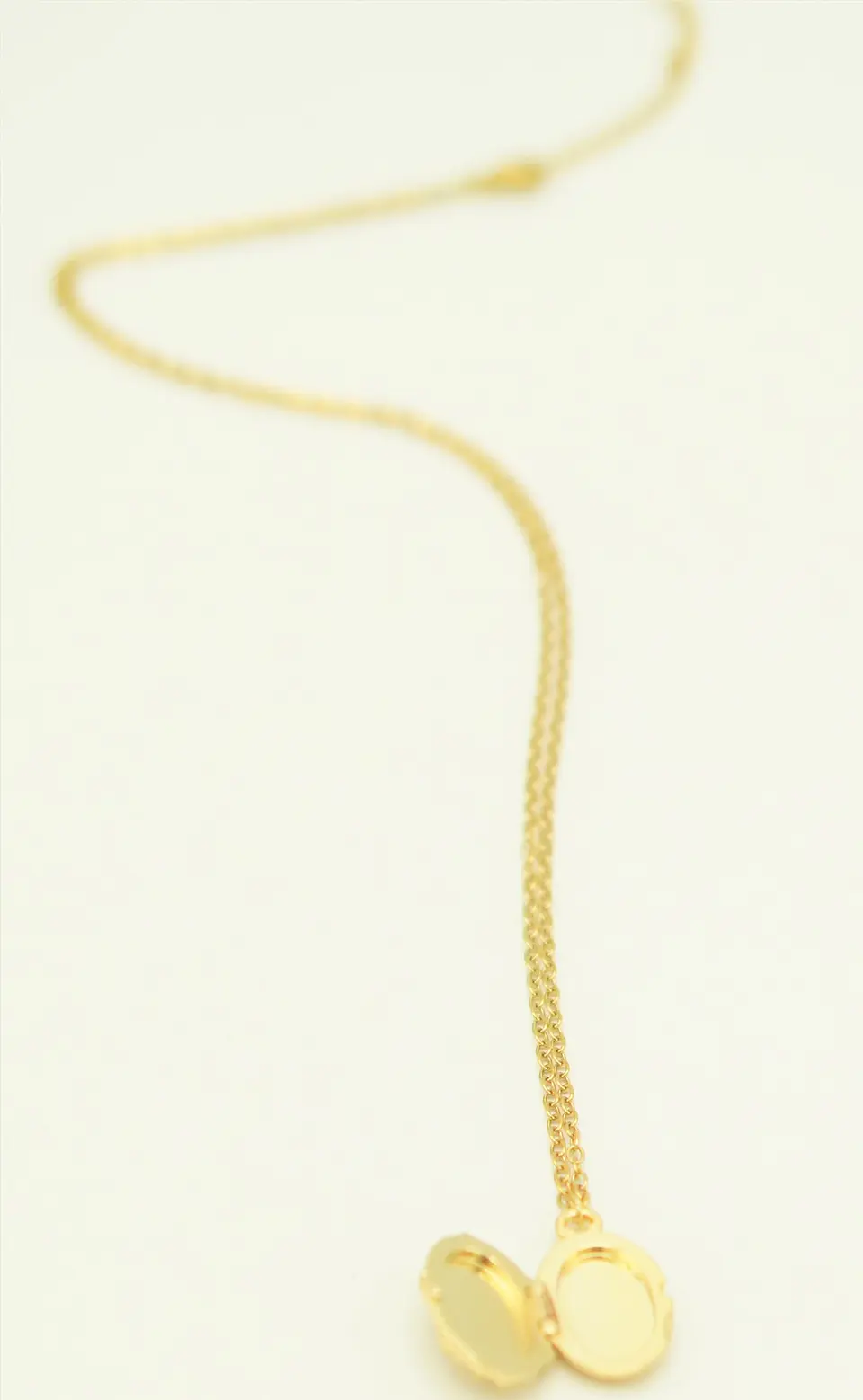 Relicario hiedras zirconias chapado en oro 18k 10