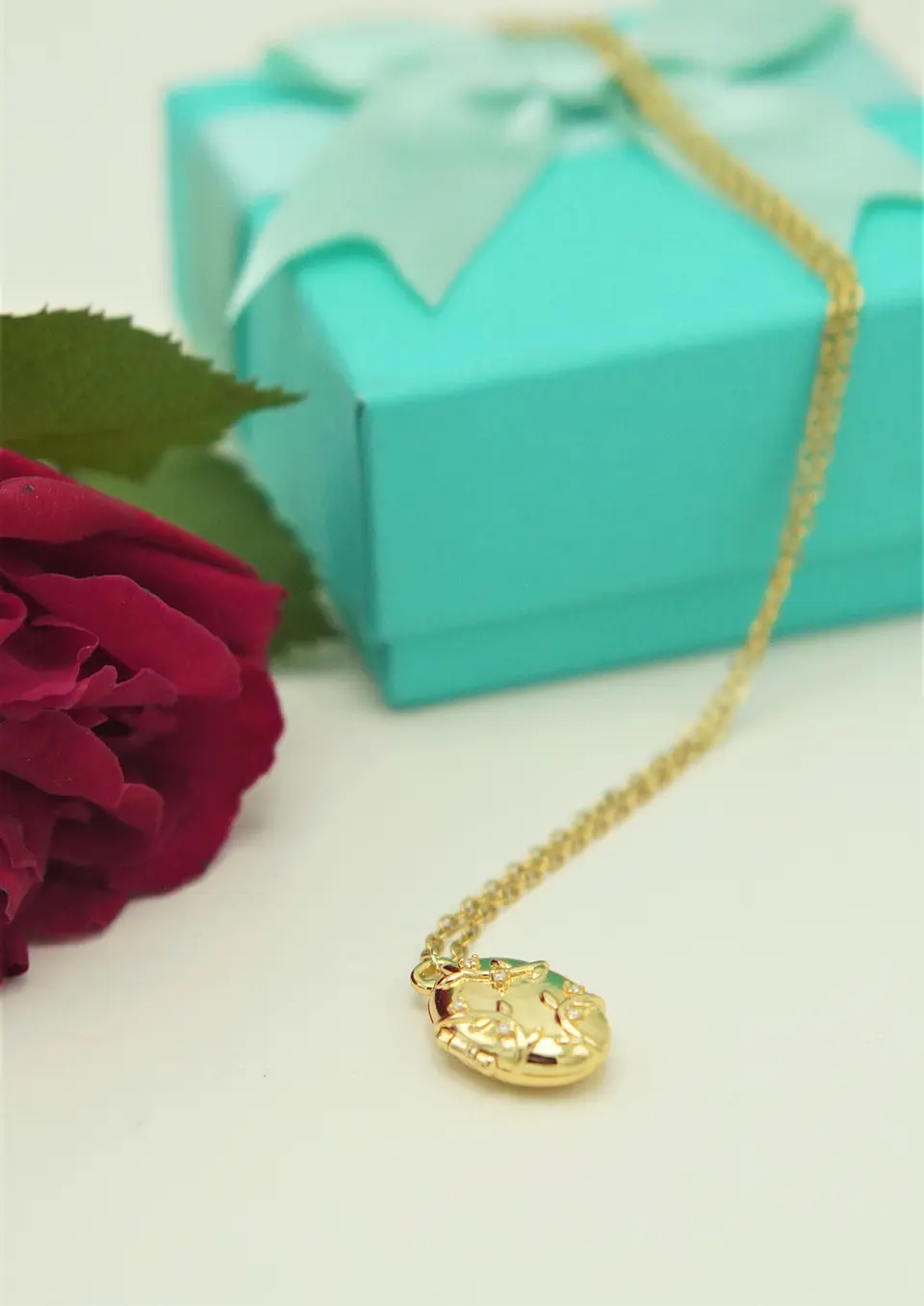 Relicario hiedras zirconias chapado en oro 18k 6