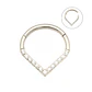 Piercing Septum 10mm Tragus F136 Titanio Lagrima Circonio - Miniatura 1