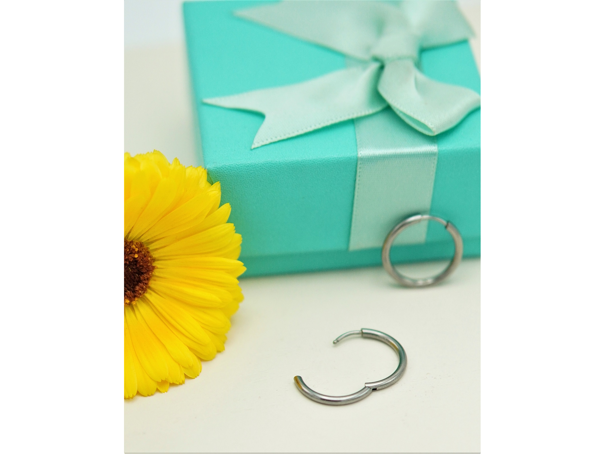 Argollas finas lisas 16mm Titanio ASTM F136 2