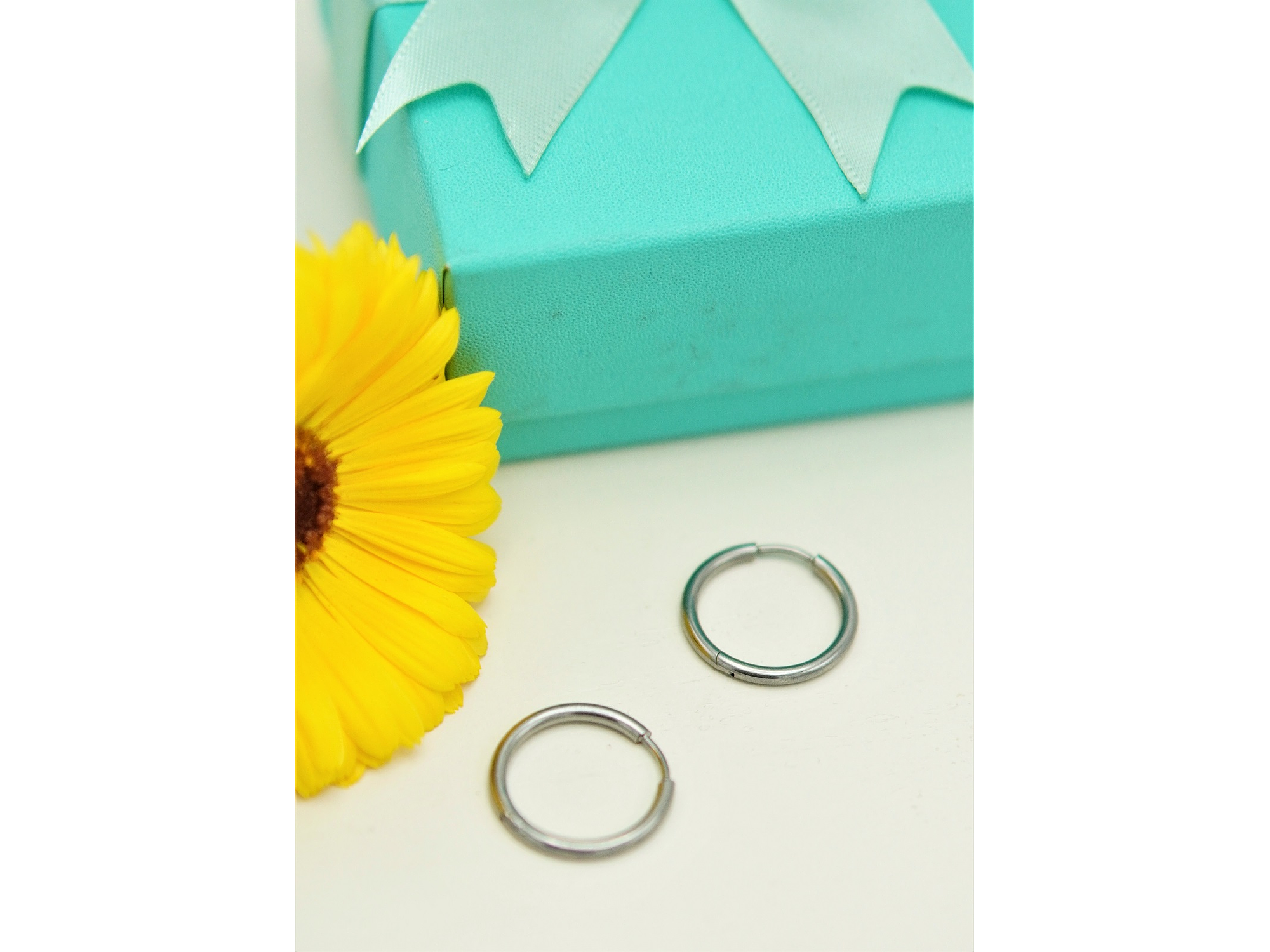 Argollas finas lisas 16mm Titanio ASTM F136 12