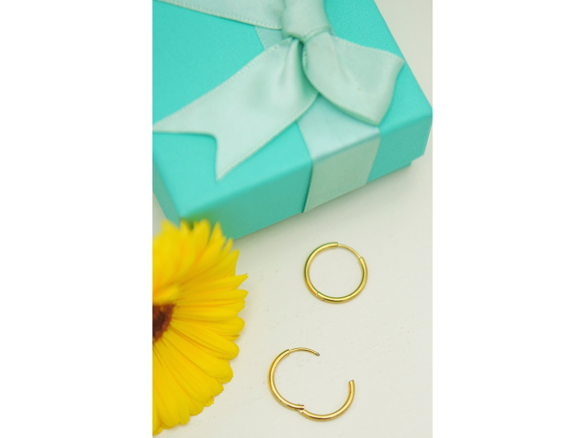 Argollas lisas minimalistas 14mm chapadas en oro 18k titanio ASTM F136 9