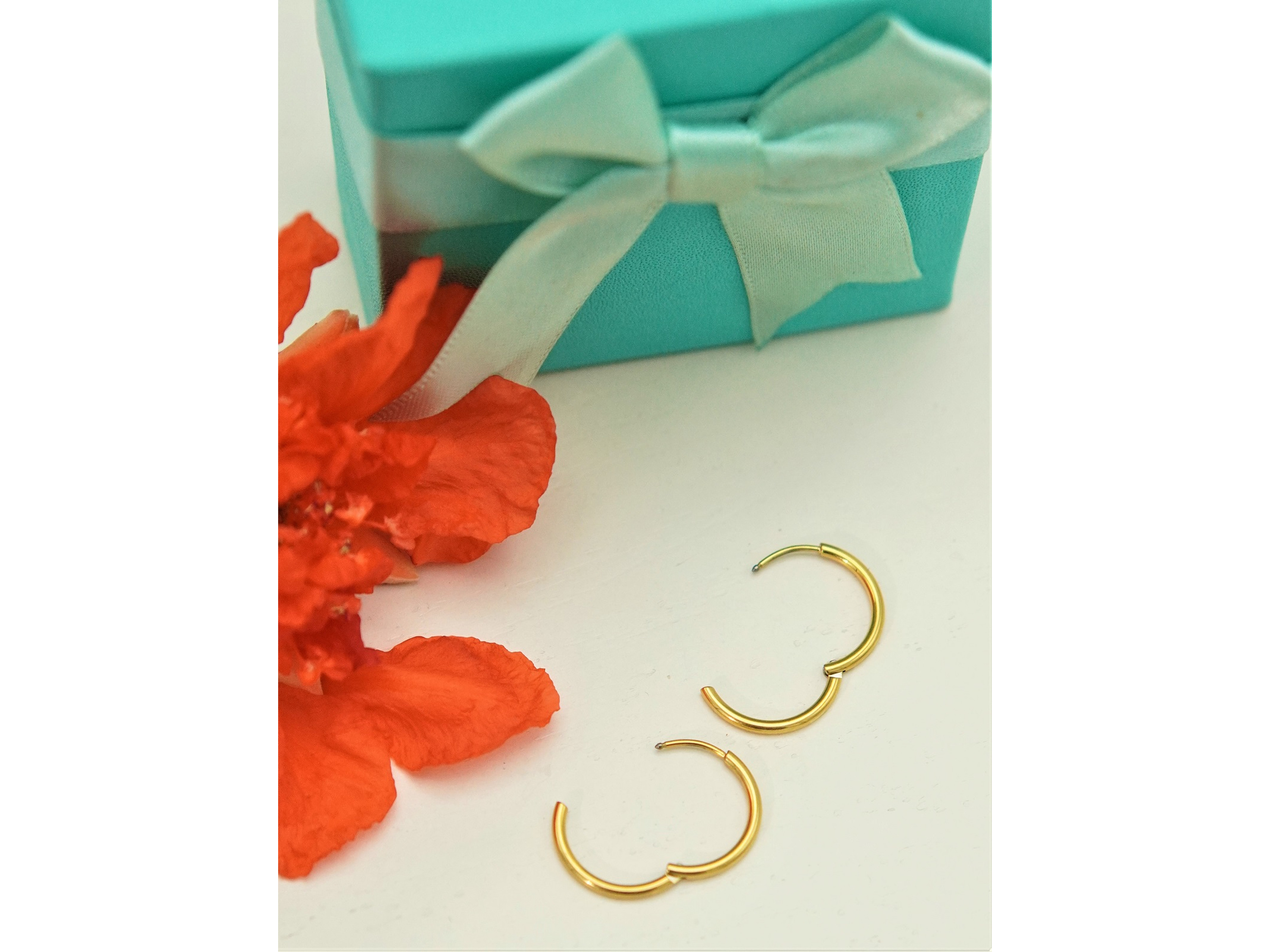 Argollas lisas minimalistas 14mm chapadas en oro 18k titanio ASTM F136 2