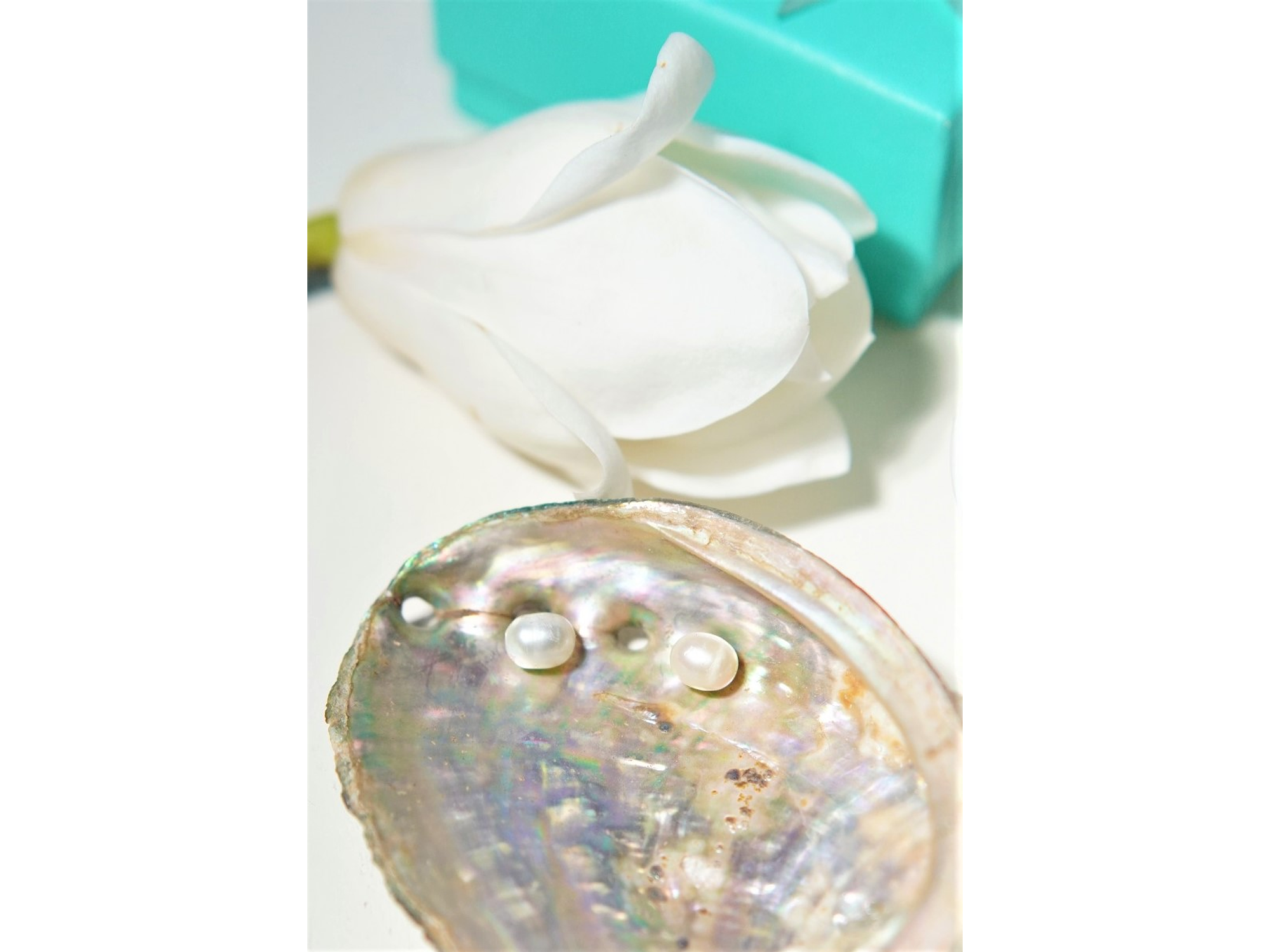 Aros Muriel perlas de rio 7mm titanio ASTM F136 Riviere 10