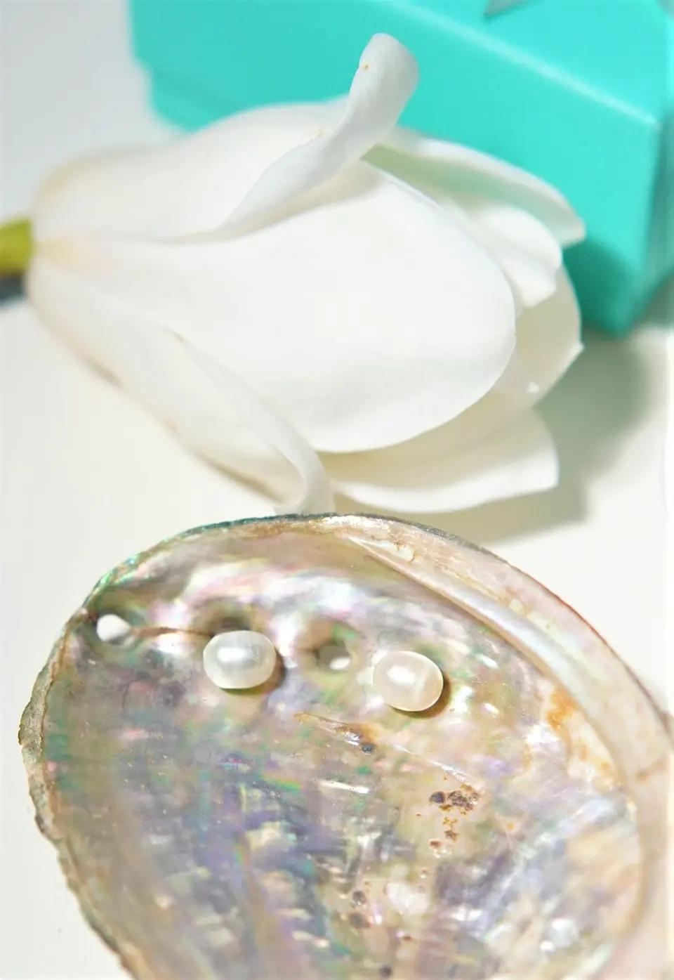 Aros Muriel perlas de rio 7mm titanio ASTM F136 Riviere 10
