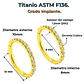 Argollas Emma 8mm 16G Titanio F136 Zirconia PVD oro 18k - Miniatura 4