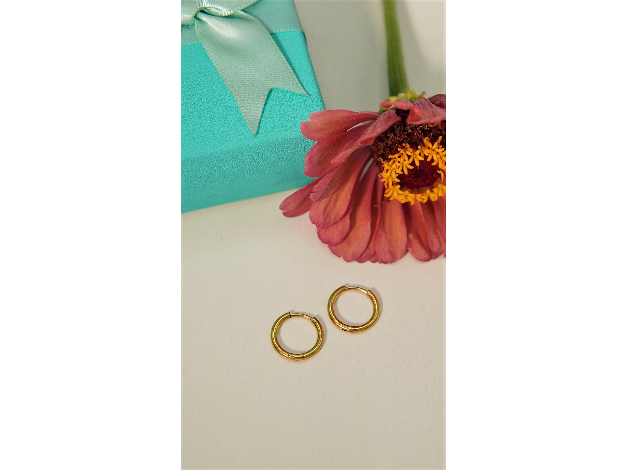 Argollas lisas Aura 12mm Titanio Astm F136 Chapado En Oro 18k 4