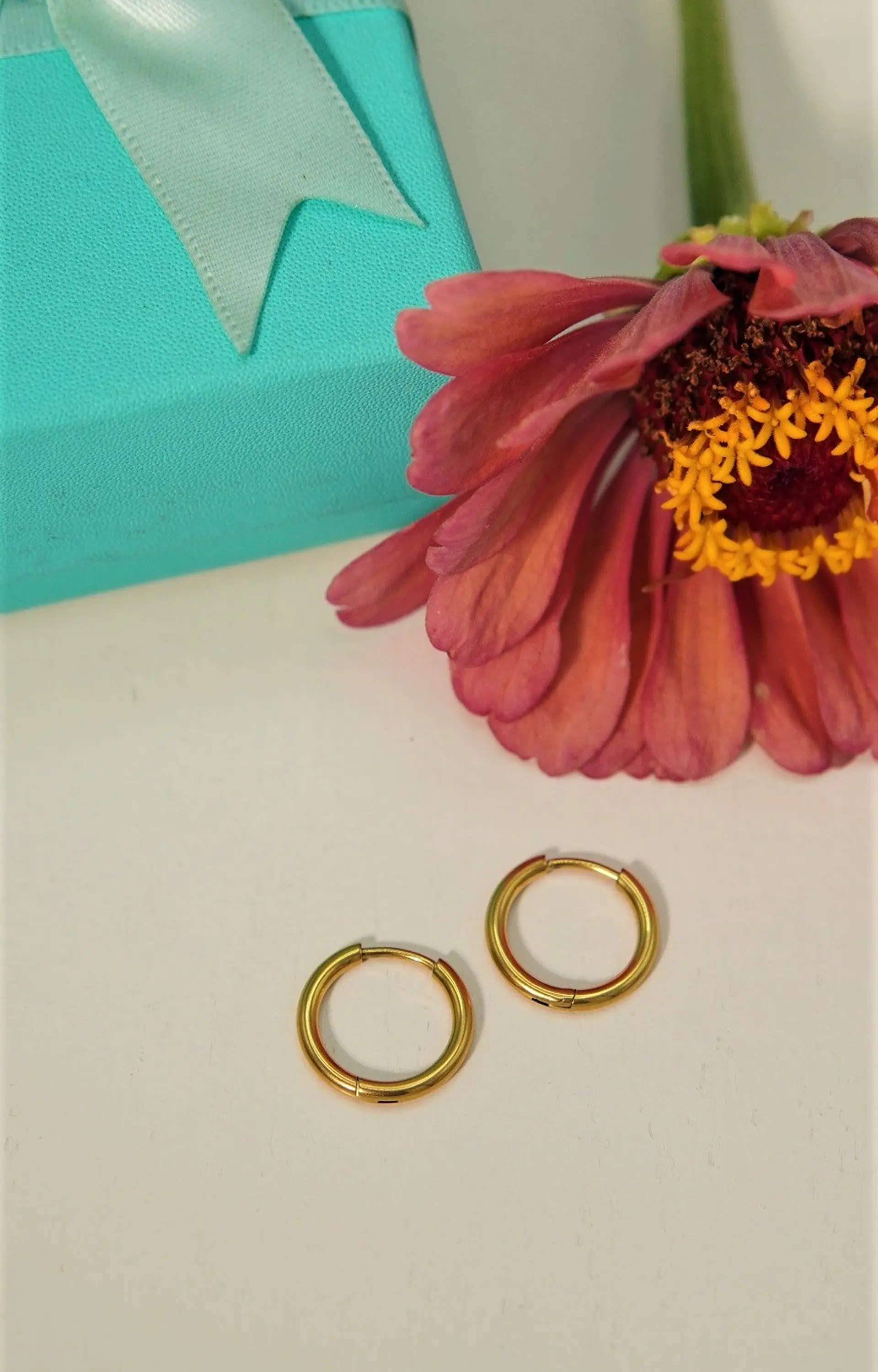 Argollas lisas Aura 12mm Titanio Astm F136 Chapado En Oro 18k 4