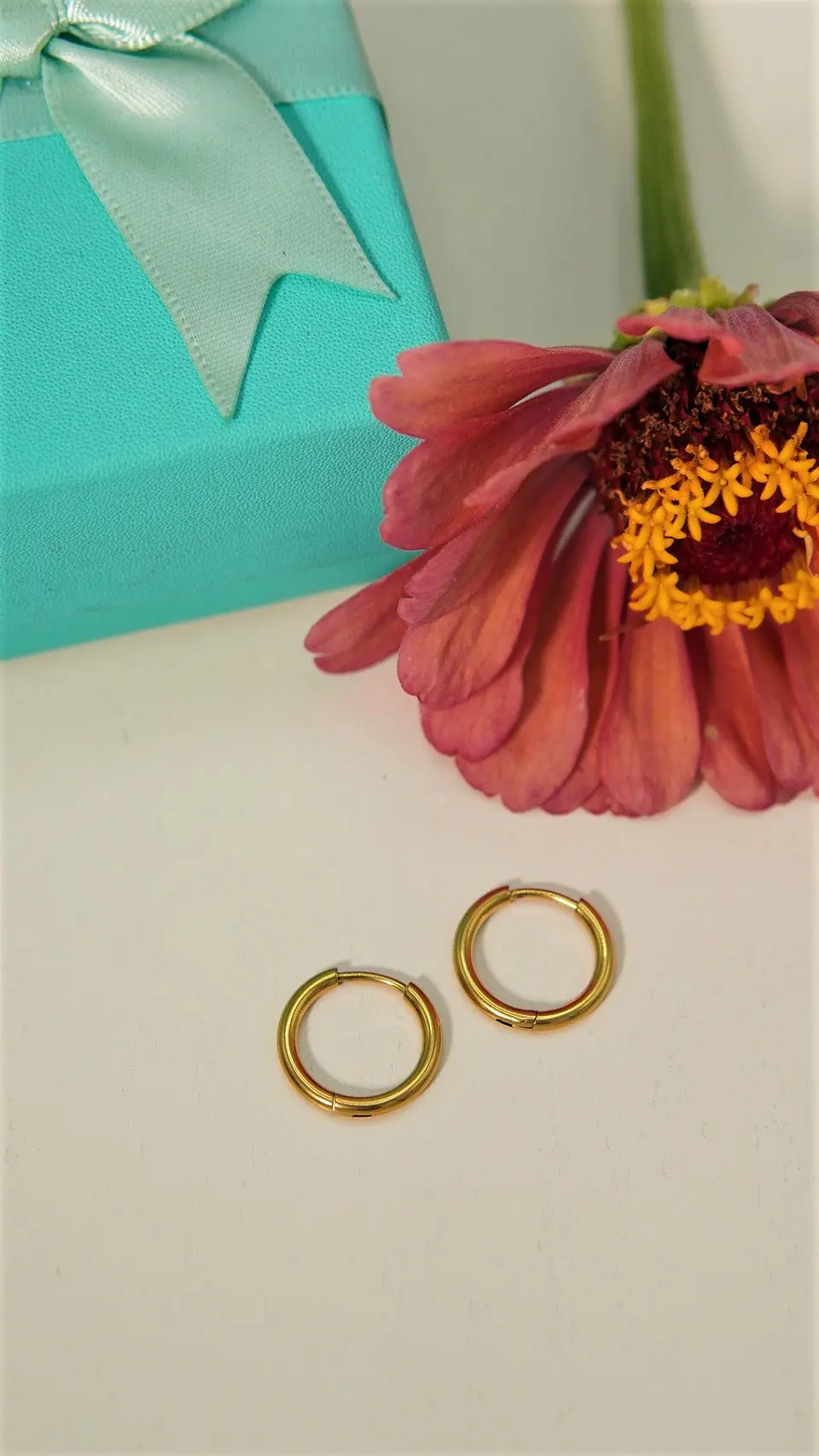 Argollas lisas Aura 12mm Titanio Astm F136 Chapado En Oro 18k 4