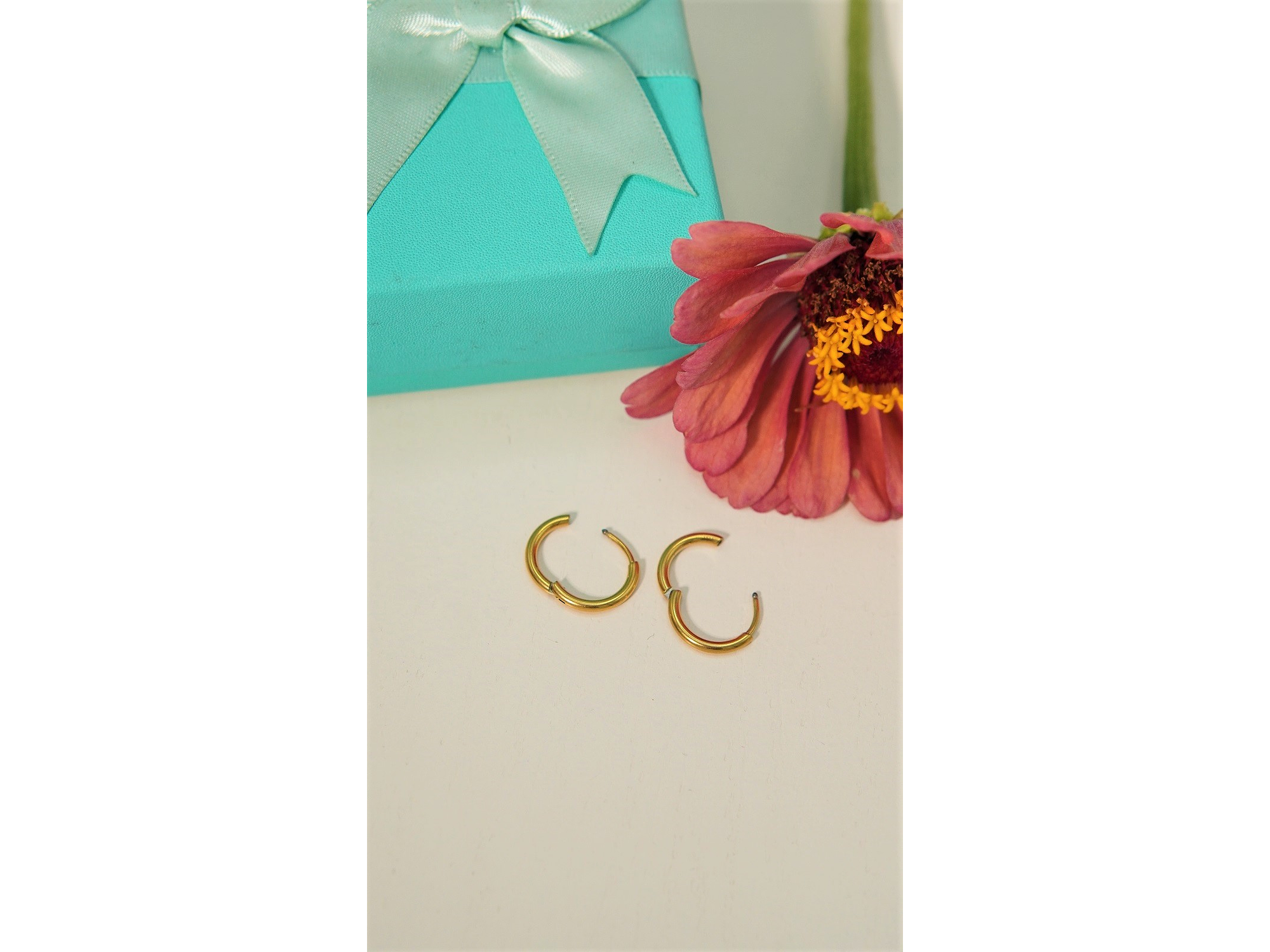 Argollas lisas Aura 12mm Titanio Astm F136 Chapado En Oro 18k 6