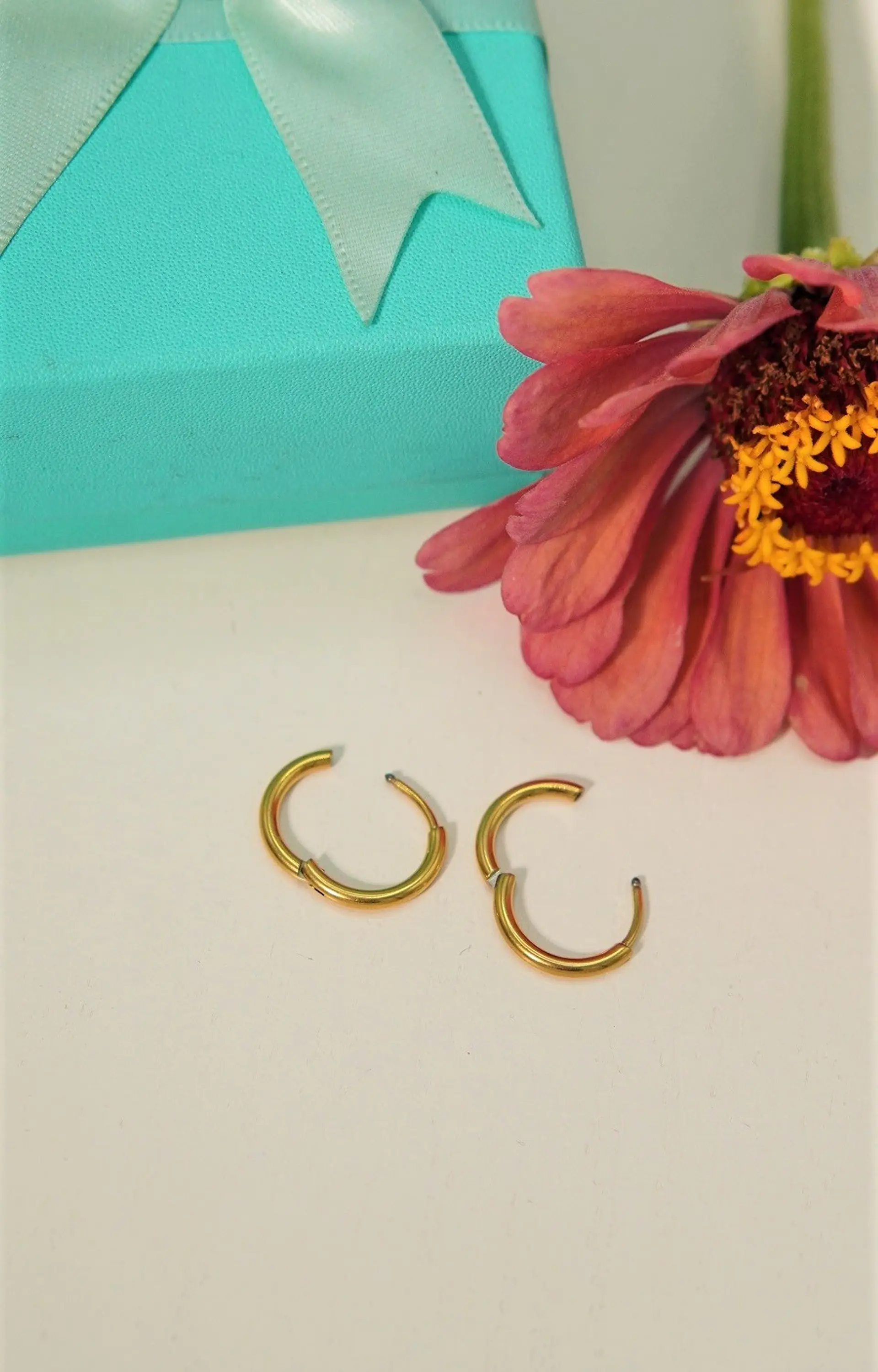 Argollas lisas Aura 12mm Titanio Astm F136 Chapado En Oro 18k 6