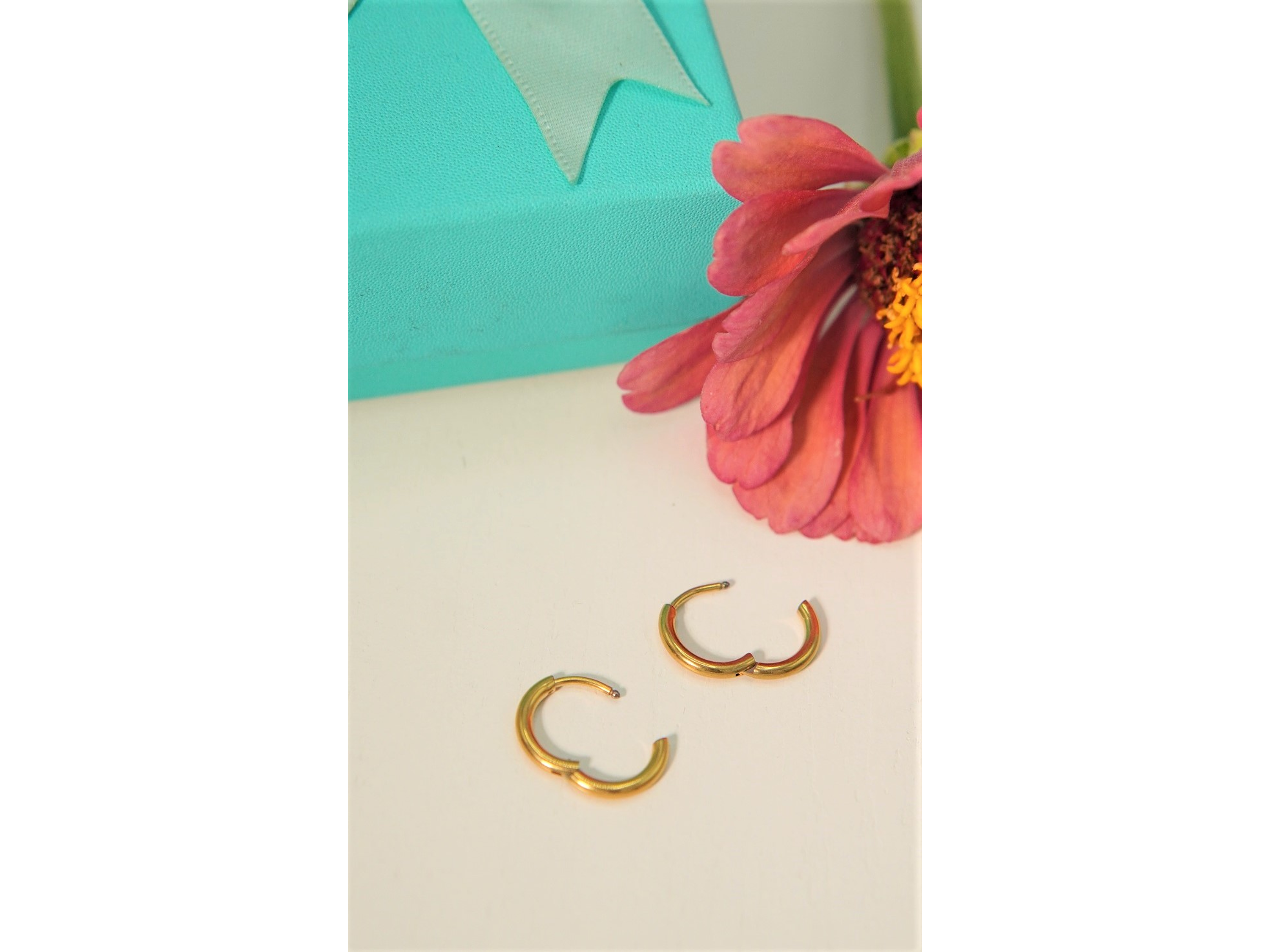 Argollas lisas Aura 10mm Titanio Astm F136 Chapado En Oro 18k 5