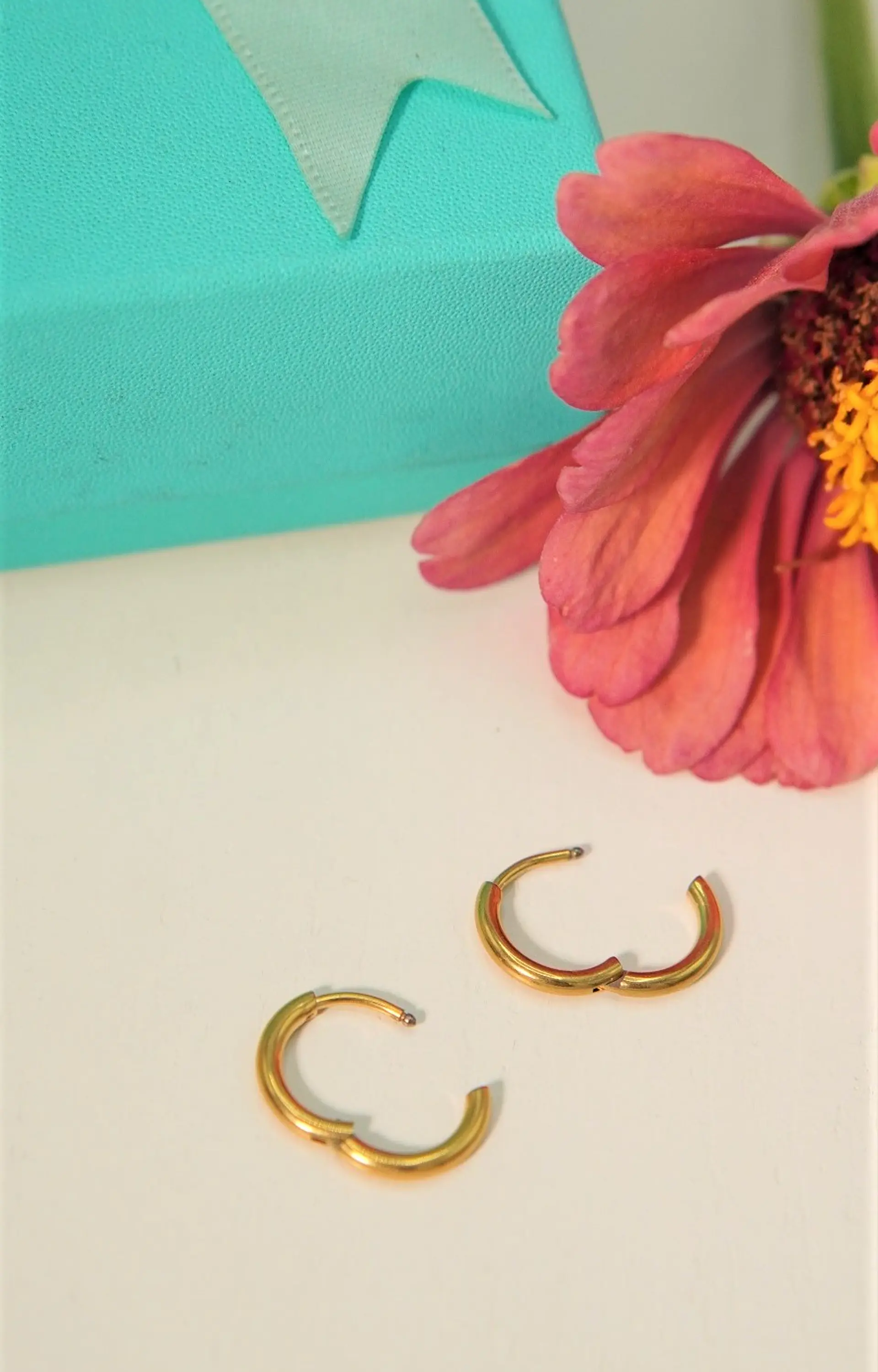 Argollas lisas Aura 10mm Titanio Astm F136 Chapado En Oro 18k 5