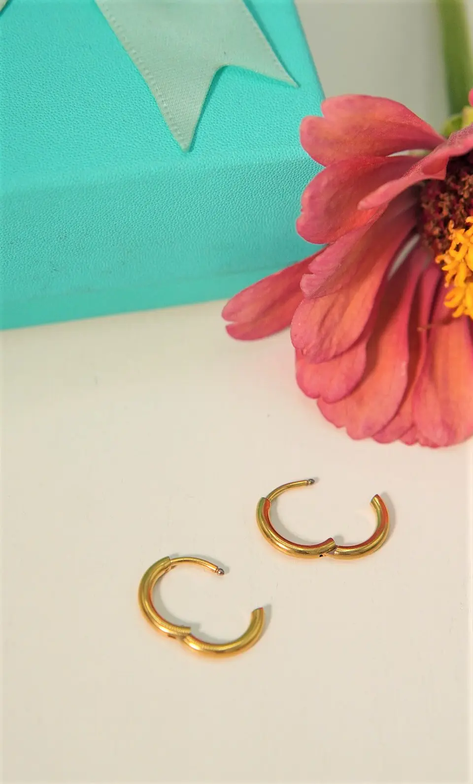 Argollas lisas Aura 10mm Titanio Astm F136 Chapado En Oro 18k 5