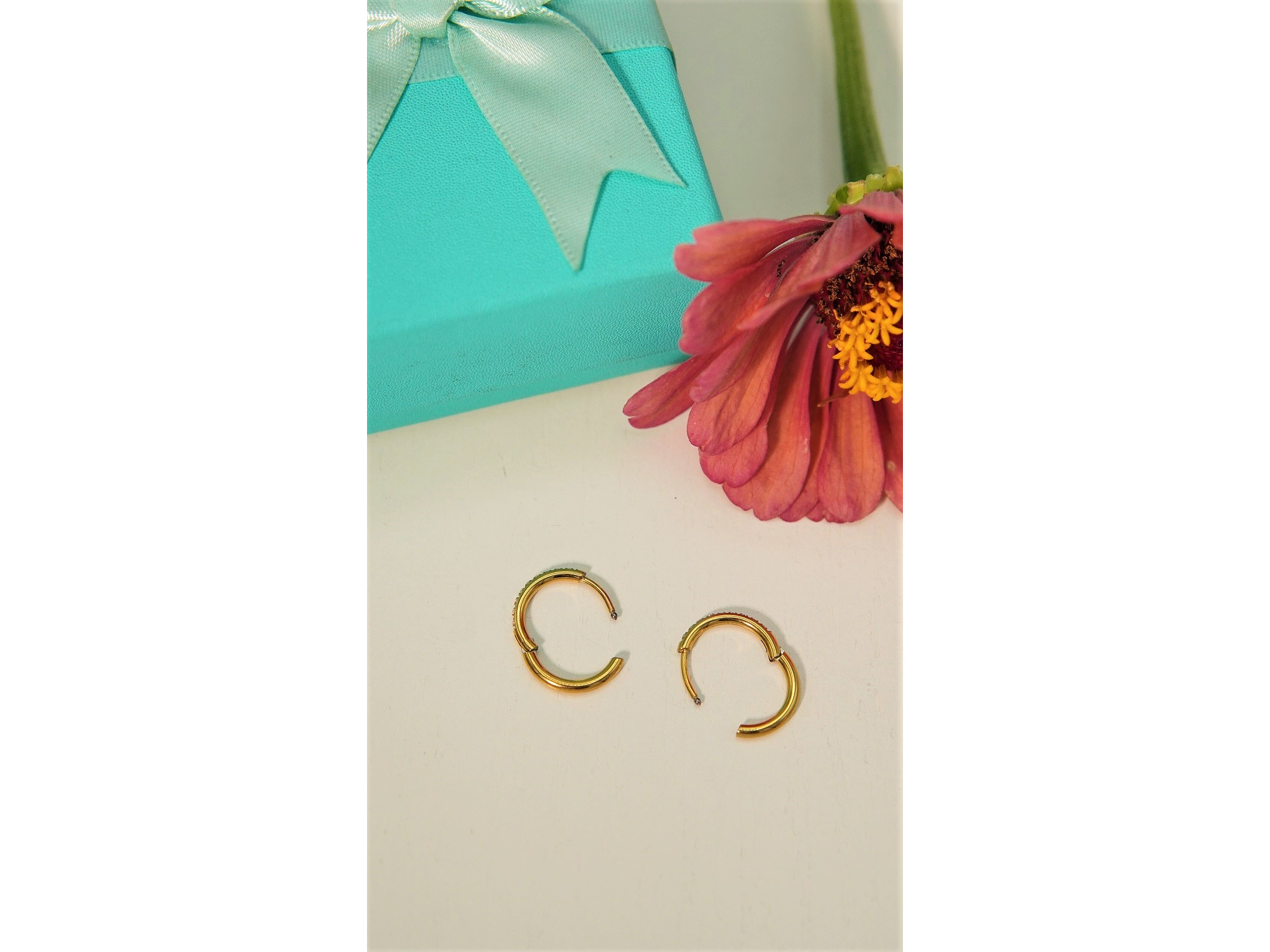 Argollas Aura Shine 12mm Titanio Astm F136 Chapado En Oro 18k 4