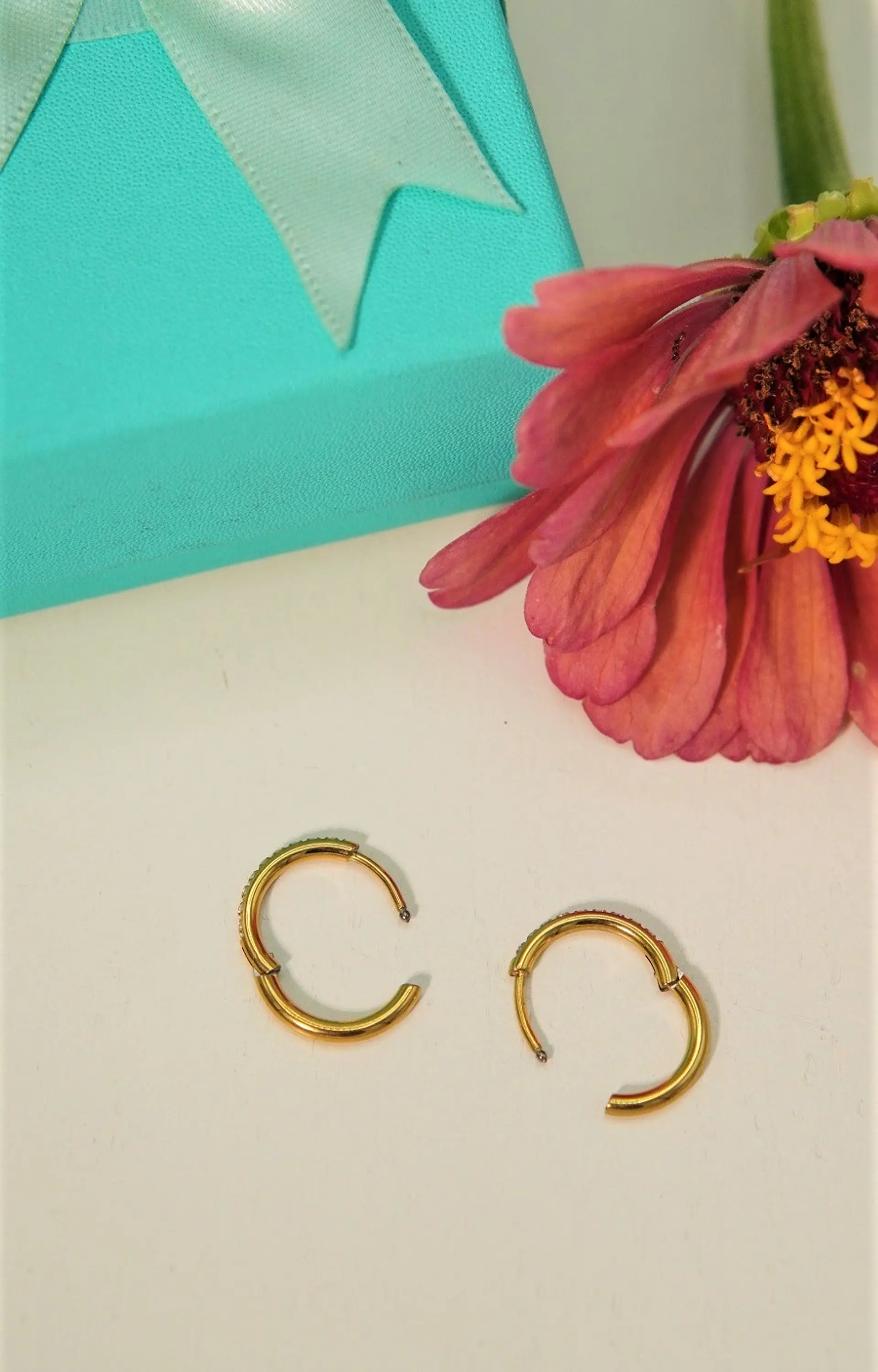 Argollas Aura Shine 12mm Titanio Astm F136 Chapado En Oro 18k 4