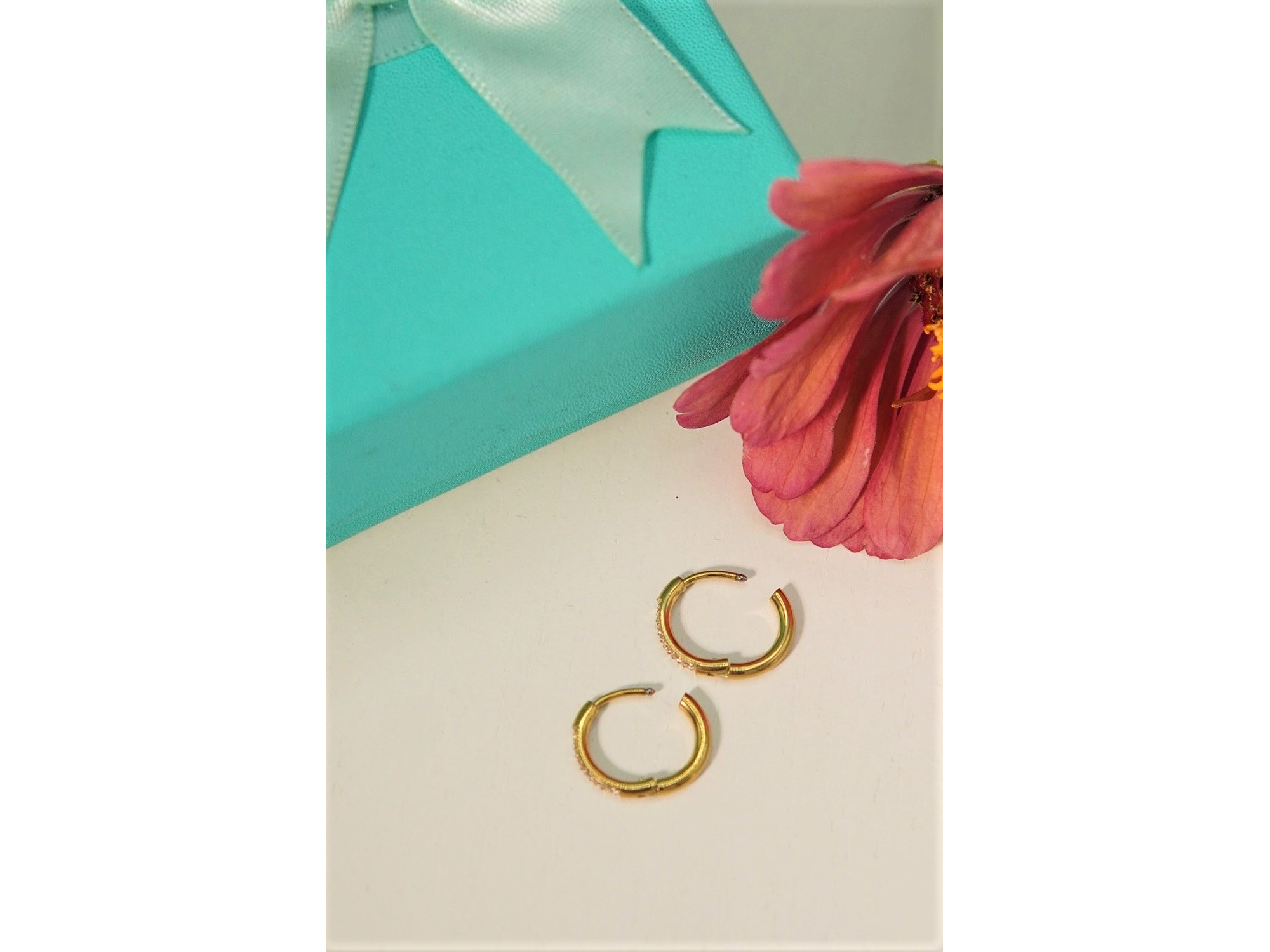 Argollas Aura Shine 10mm Titanio Astm F136 Chapado En Oro 18k 4