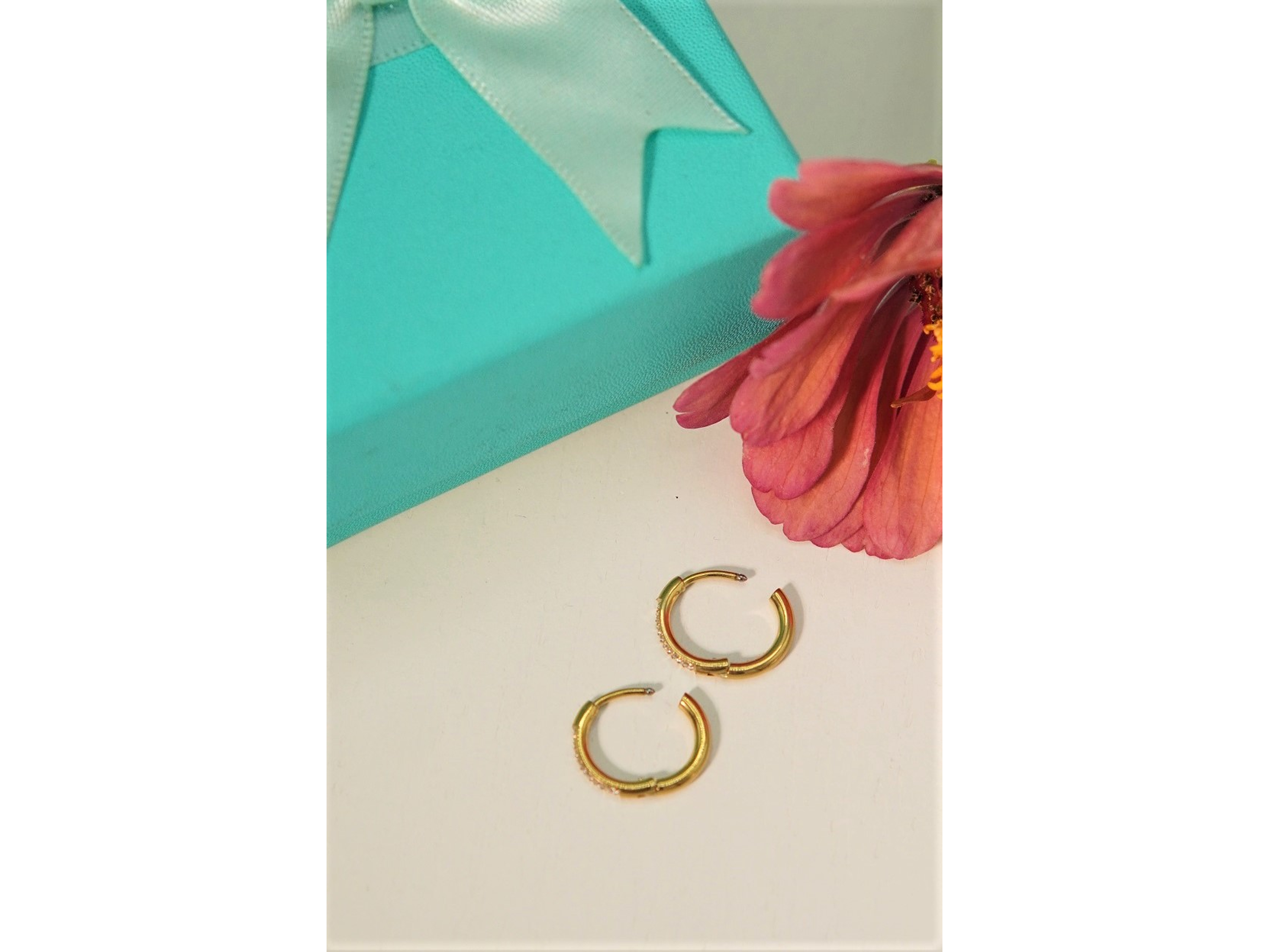 Argollas Aura Shine 10mm Titanio Astm F136 Chapado En Oro 18k 4