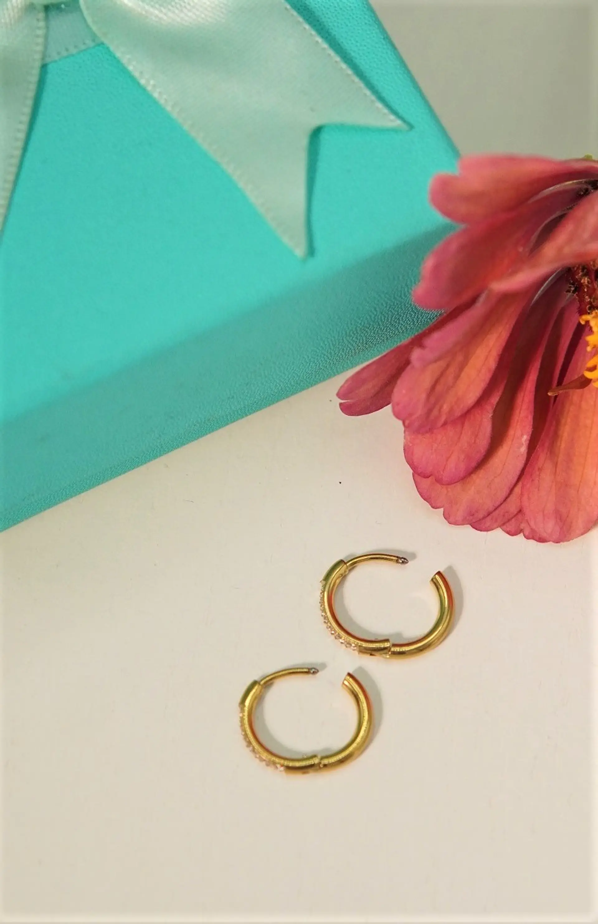 Argollas Aura Shine 10mm Titanio Astm F136 Chapado En Oro 18k 4