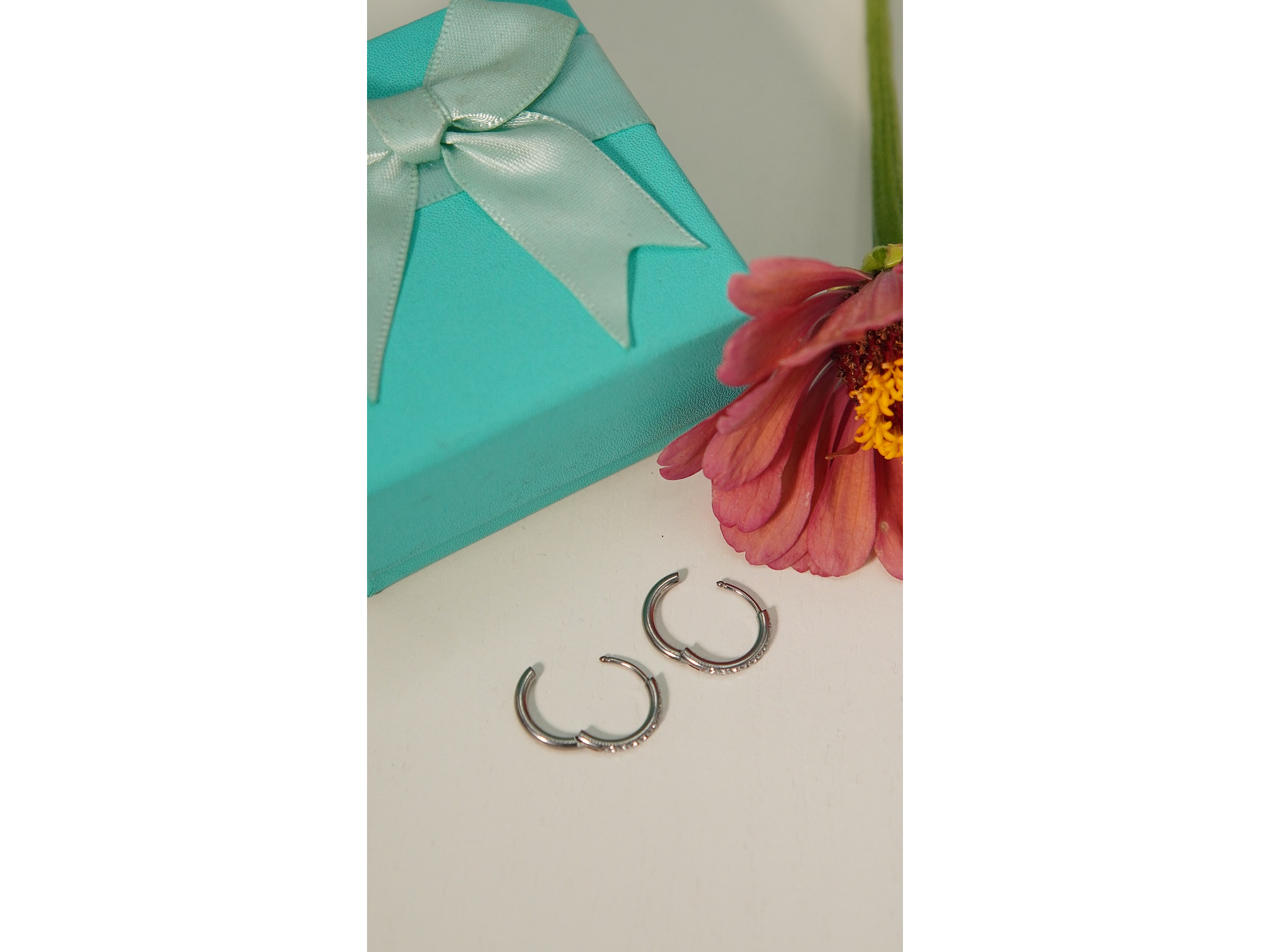 Argollas Aura Shine 12mm Titanio Astm F136 plateadas 6