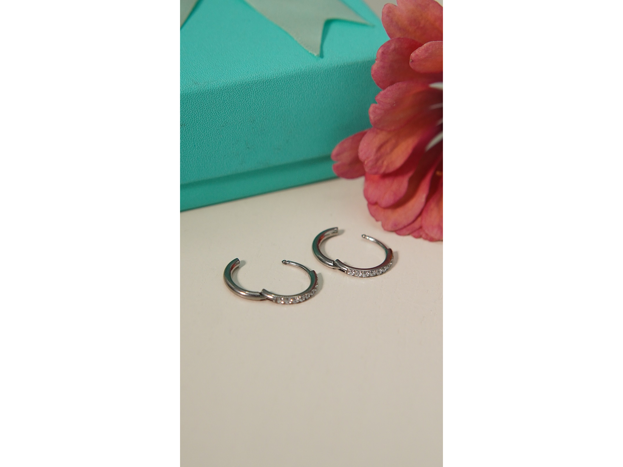 Argollas Aura Shine 12mm Titanio Astm F136 plateadas 7