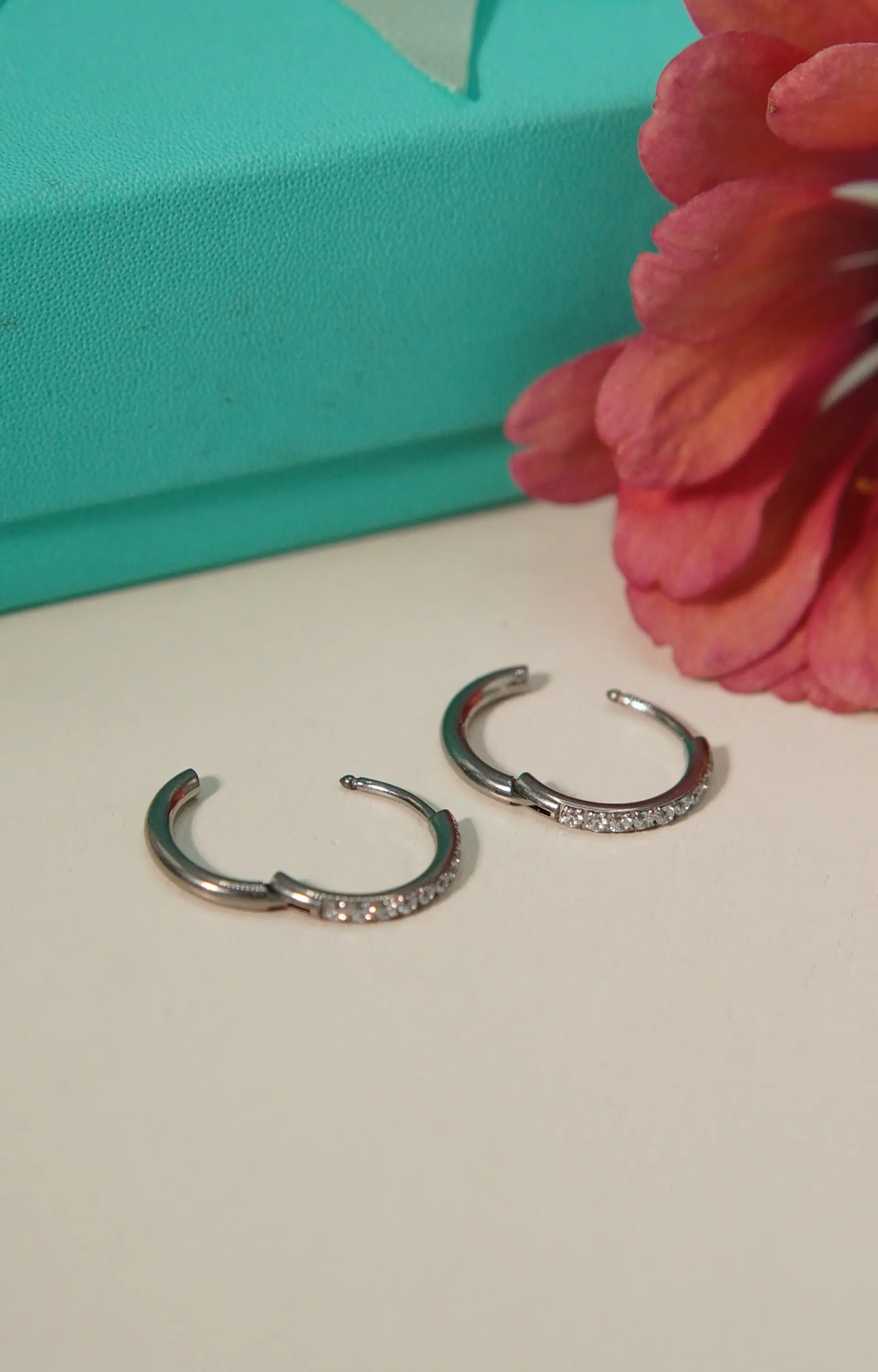 Argollas Aura Shine 12mm Titanio Astm F136 plateadas 7