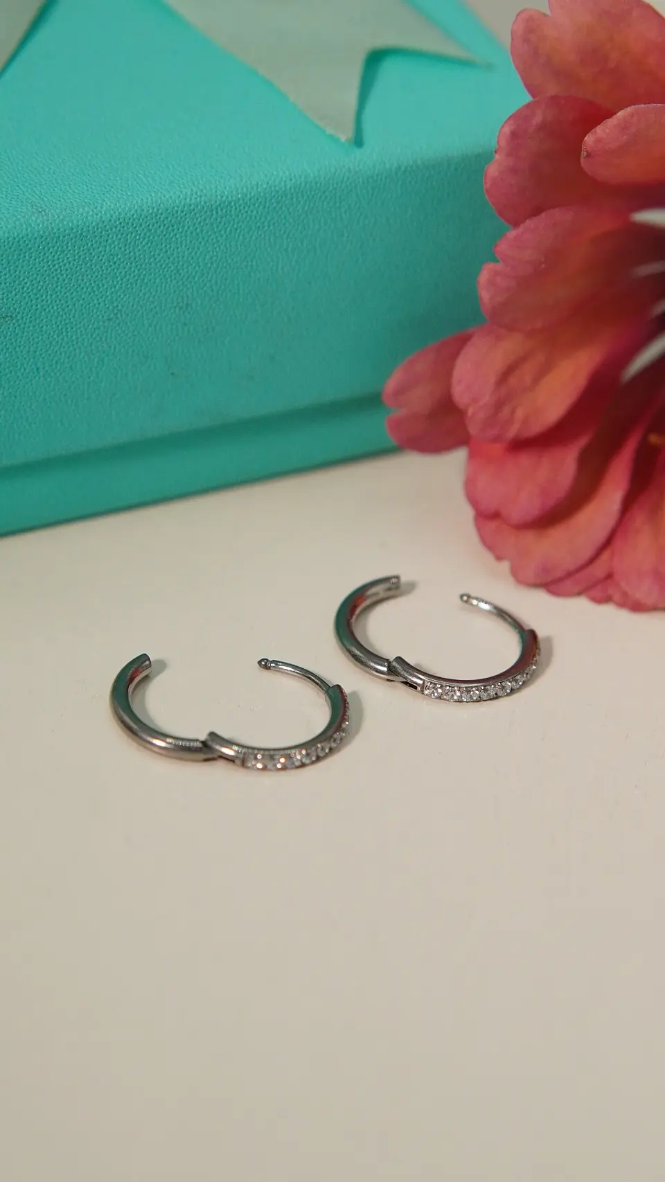 Argollas Aura Shine 12mm Titanio Astm F136 plateadas 7