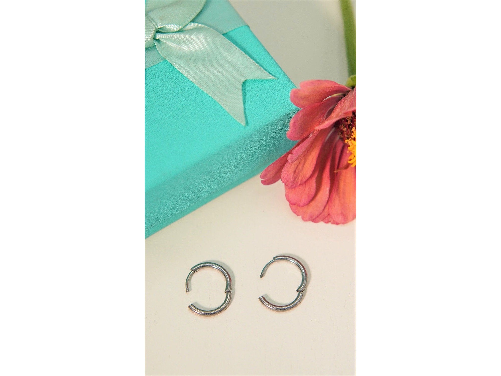 Argollas lisas Aura 12mm Titanio Astm F136 plateadas 6